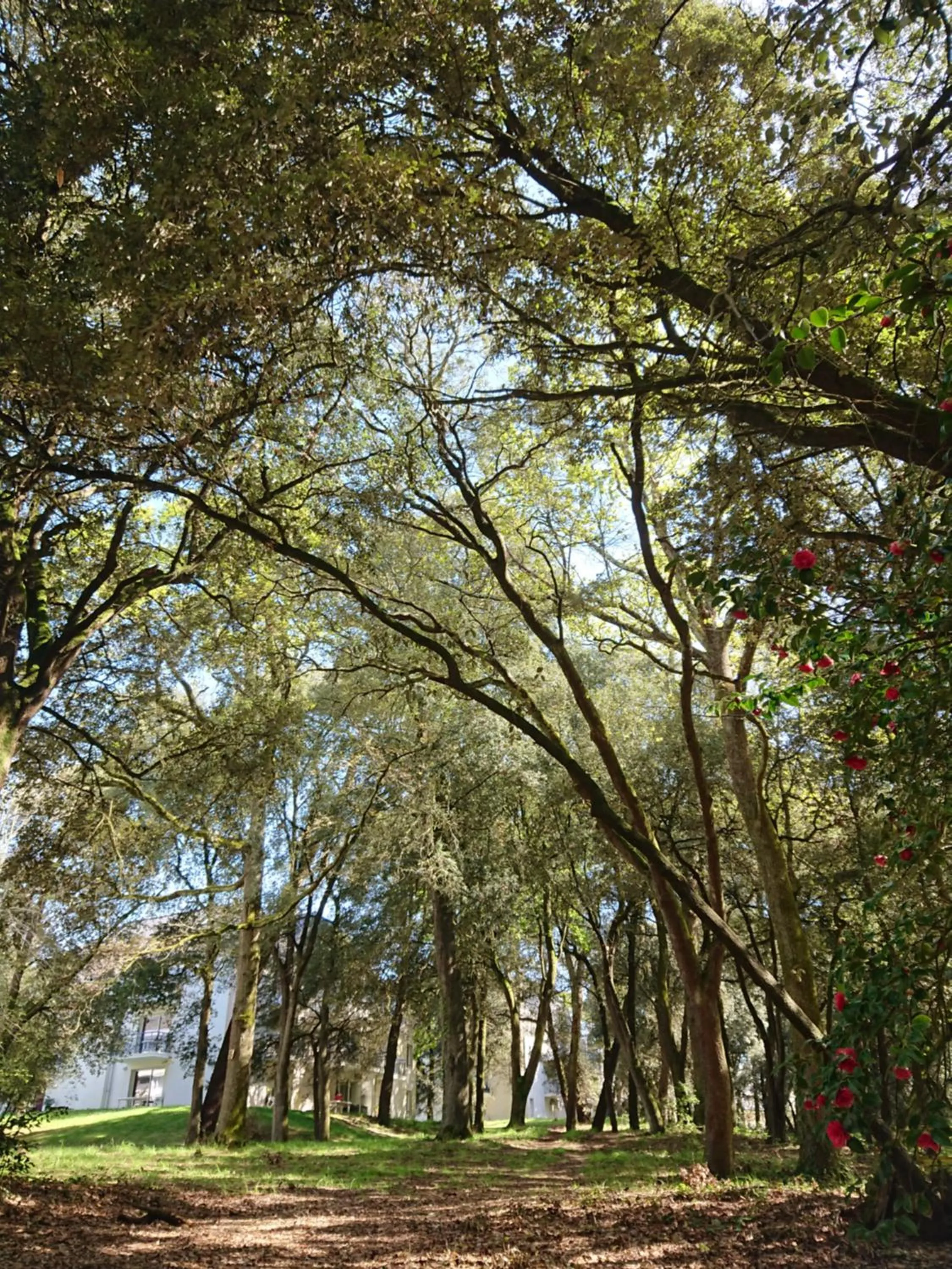 Garden in Résidence Ker Juliette