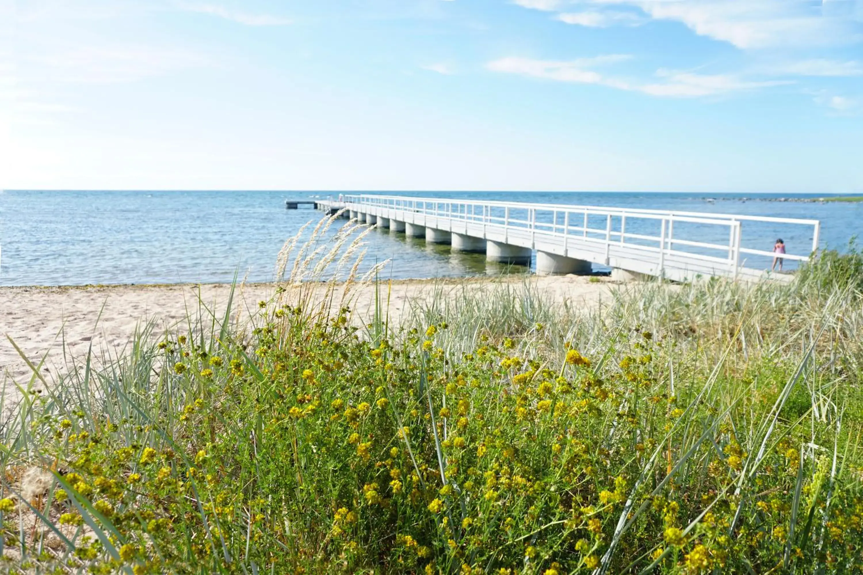 Visby Gustavsvik Visby Gustavsvik