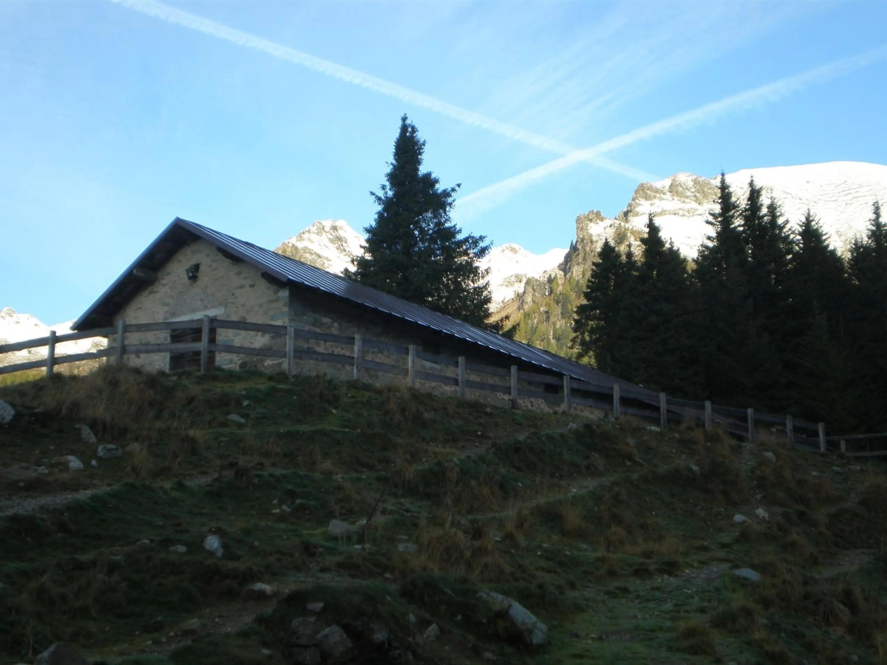 Area and facilities in Hotel Serenella