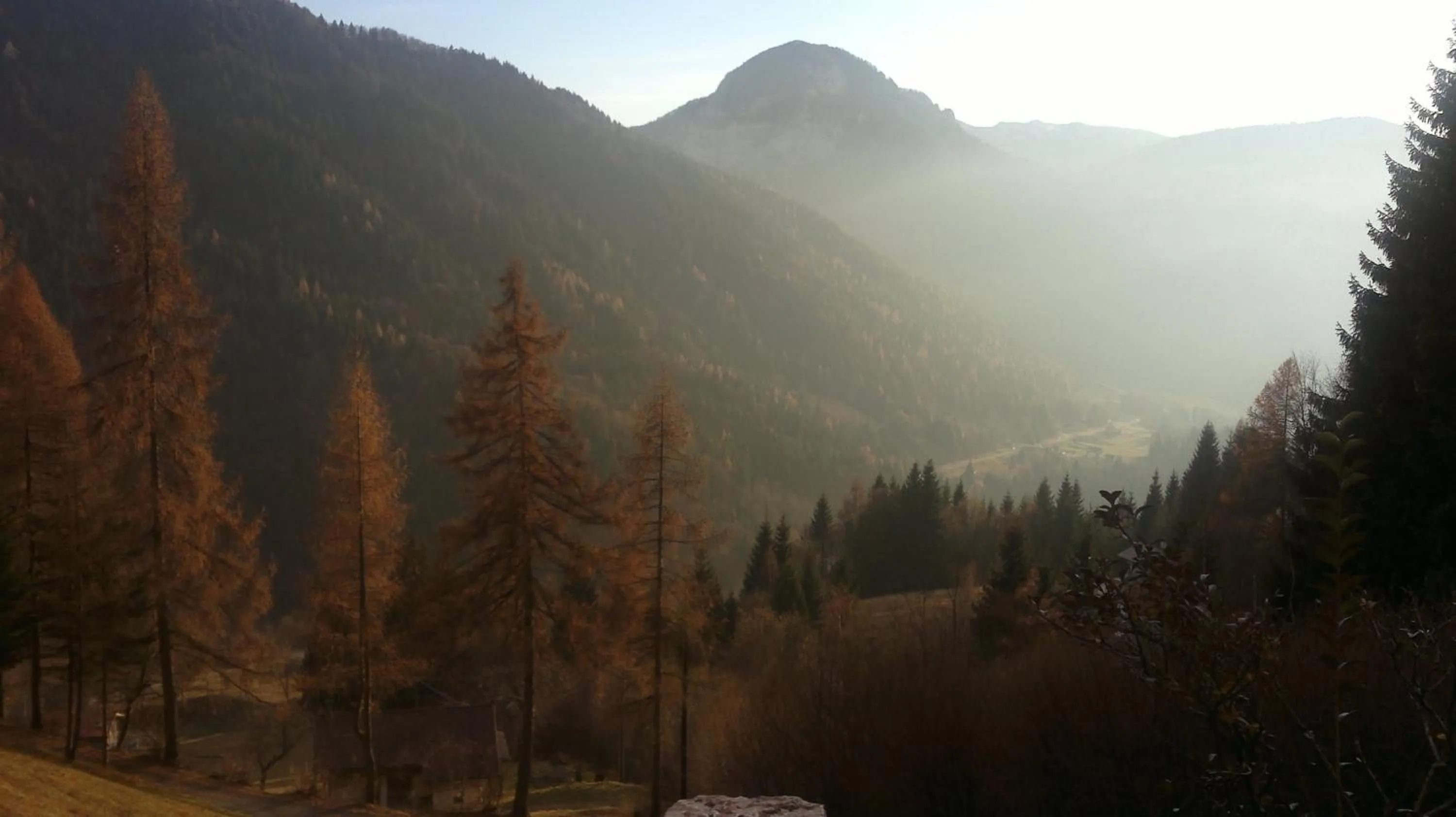Horse-riding in Hotel Serenella