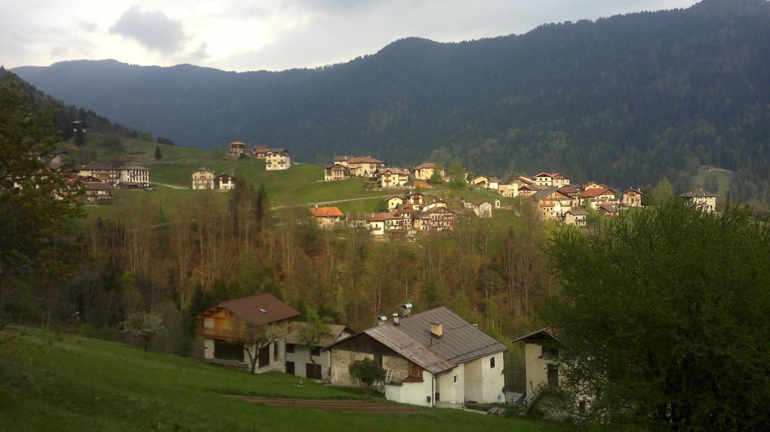 Summer in Hotel Serenella