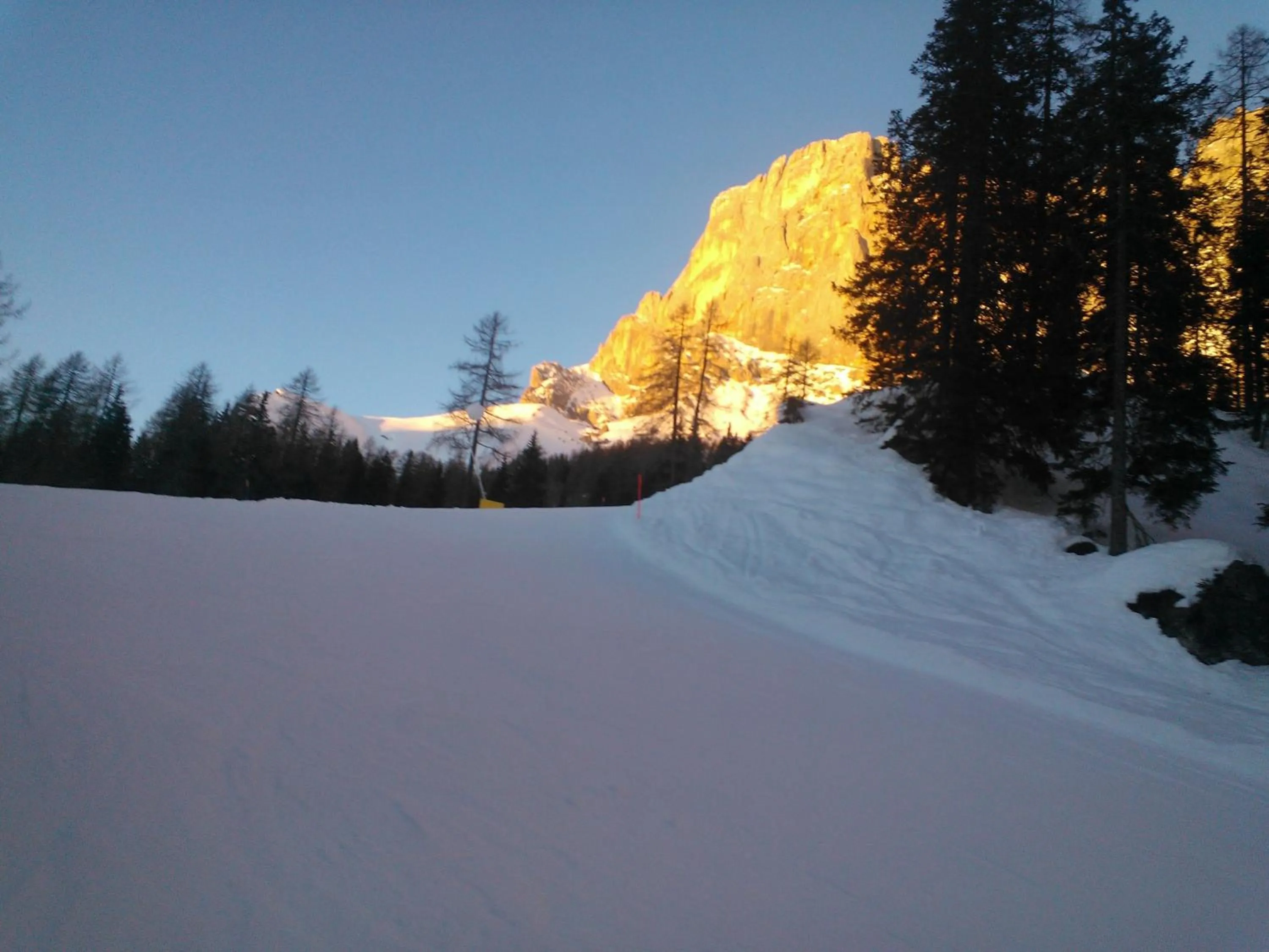 Area and facilities in Hotel Serenella