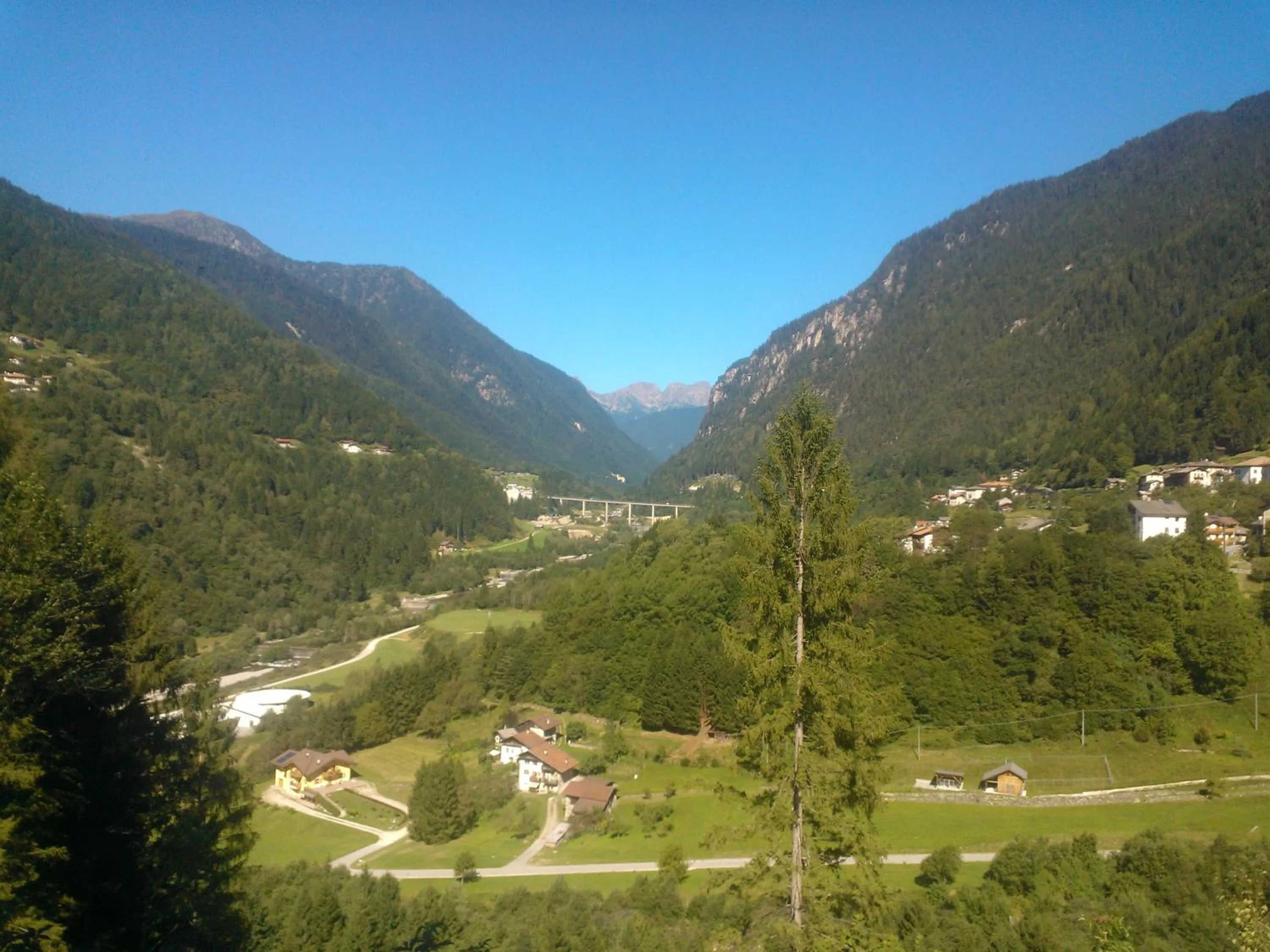 Area and facilities in Hotel Serenella