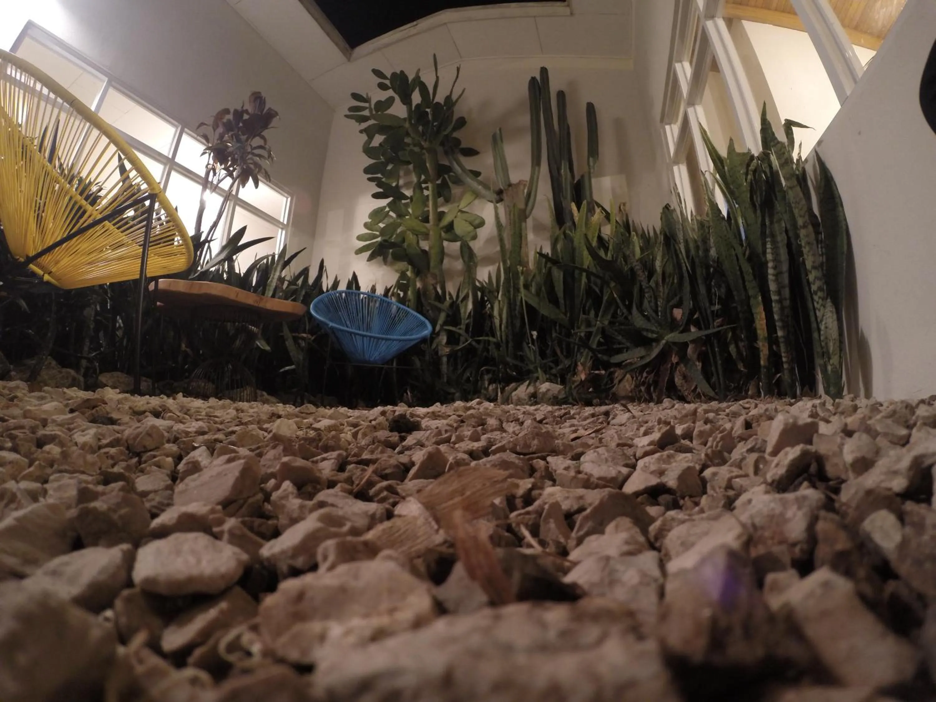 Patio in Capital Hostel de Ciudad