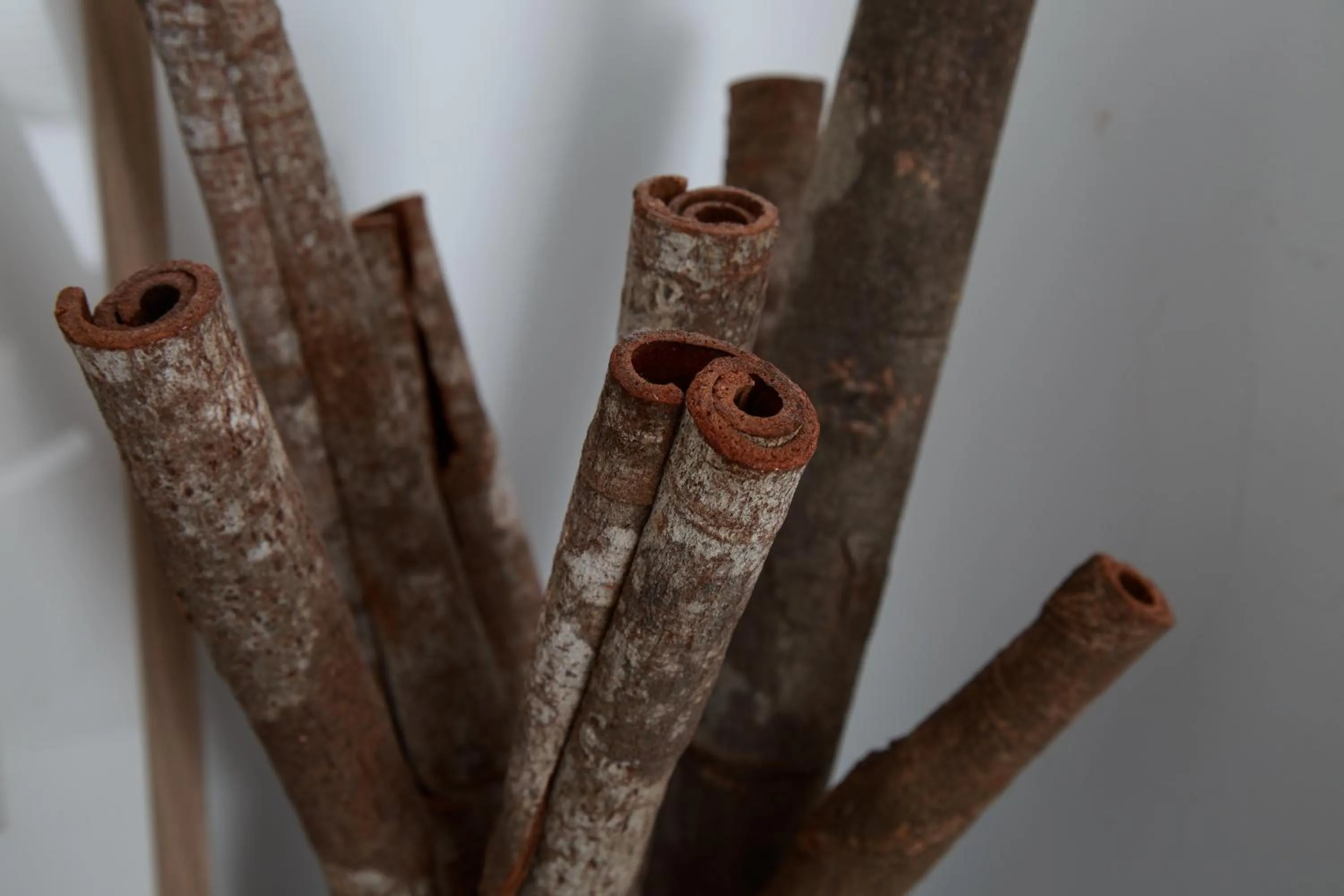 Decorative detail in Nenè-Il Vicolo Apartments and Rooms