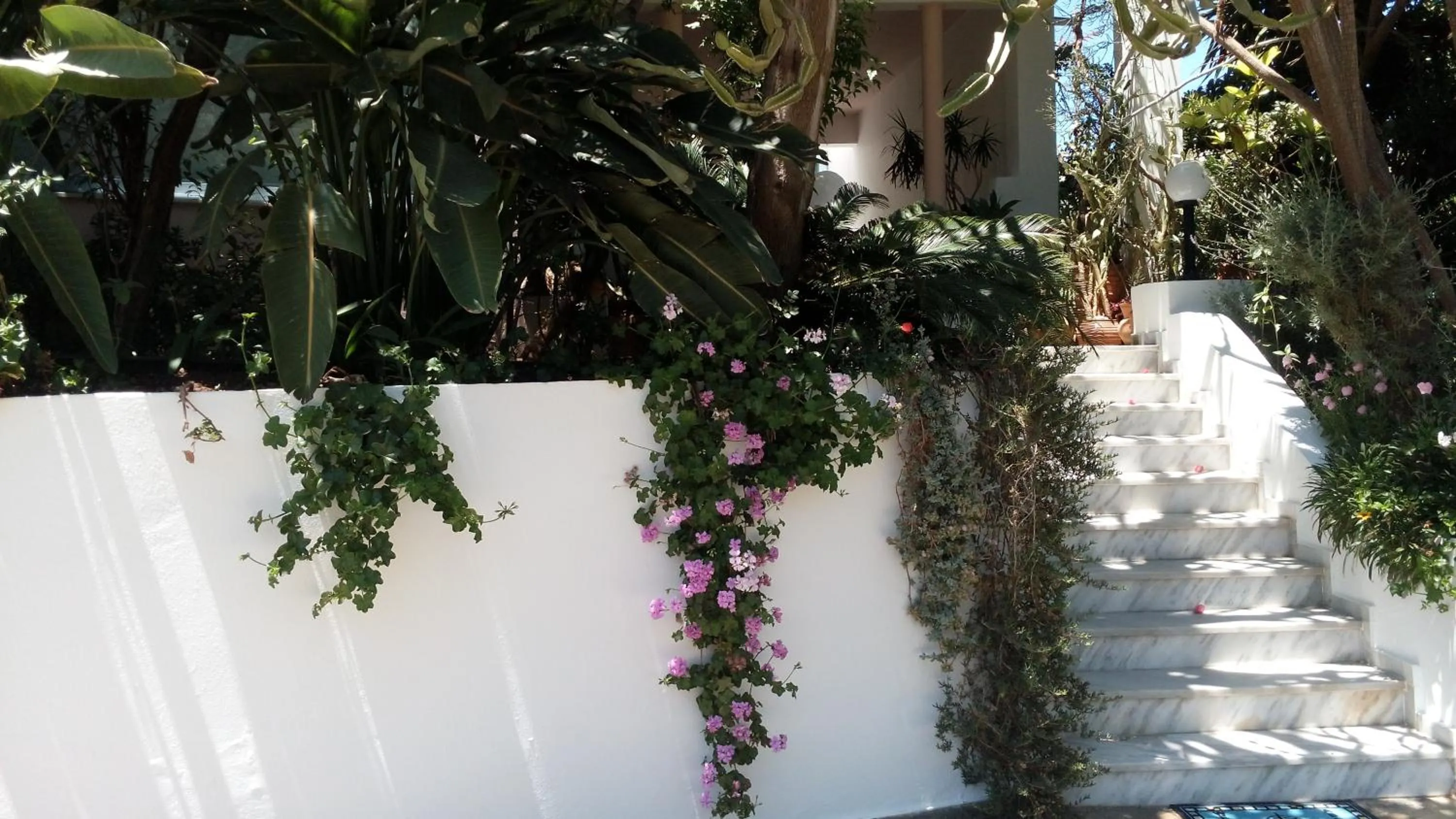 Facade/entrance in Hotel Kleopatra