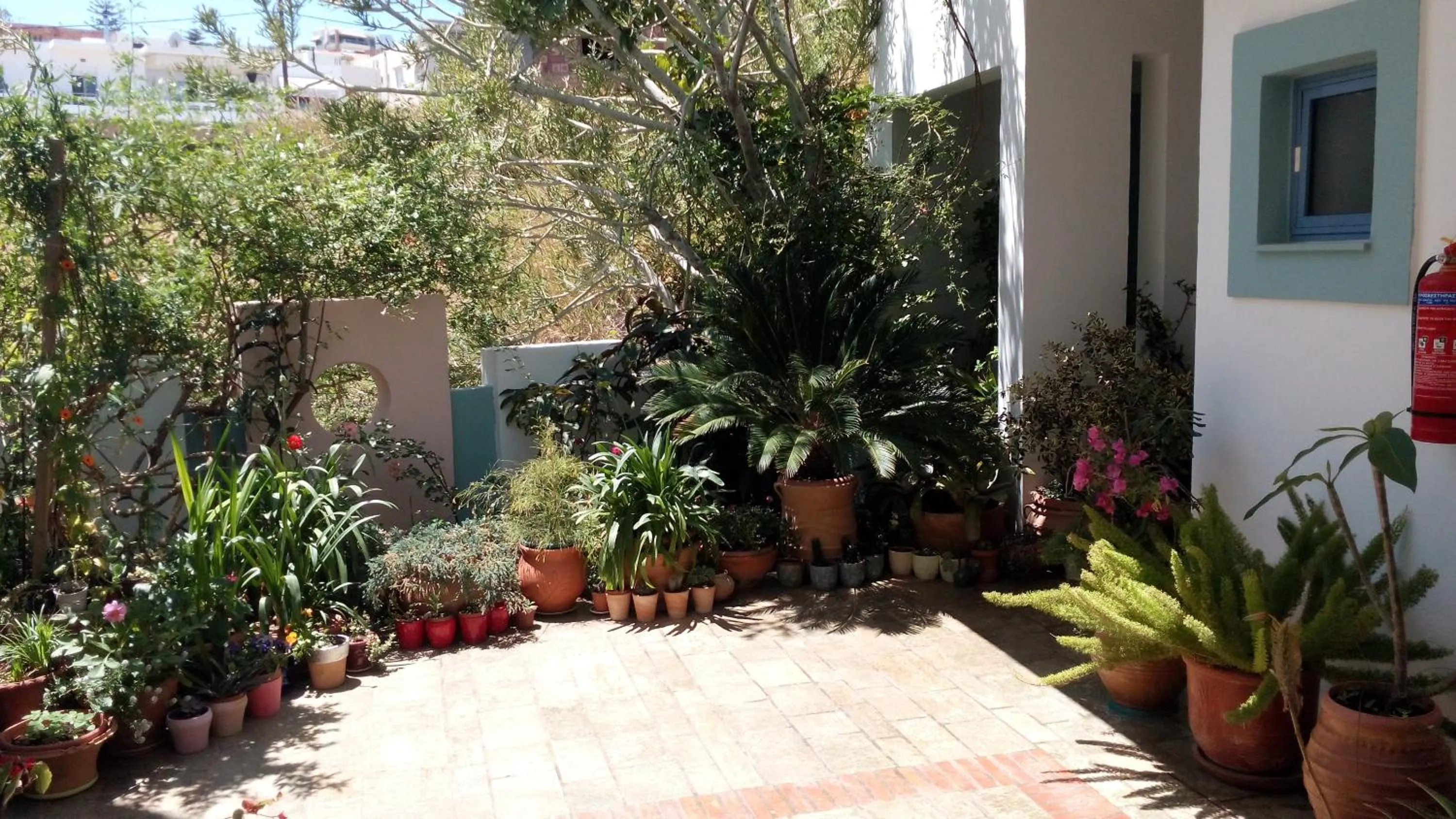 Garden in Hotel Kleopatra