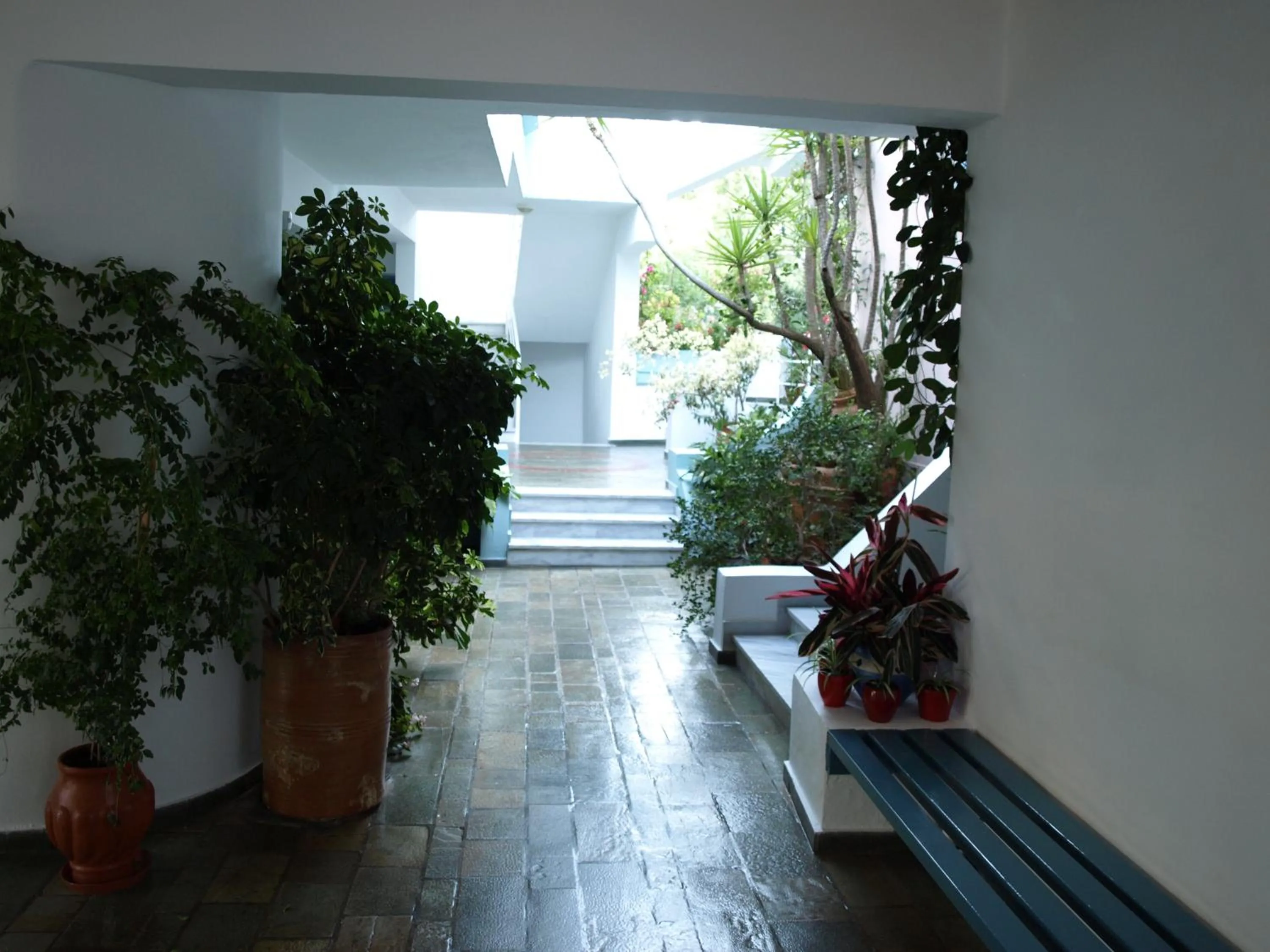 Patio in Hotel Kleopatra