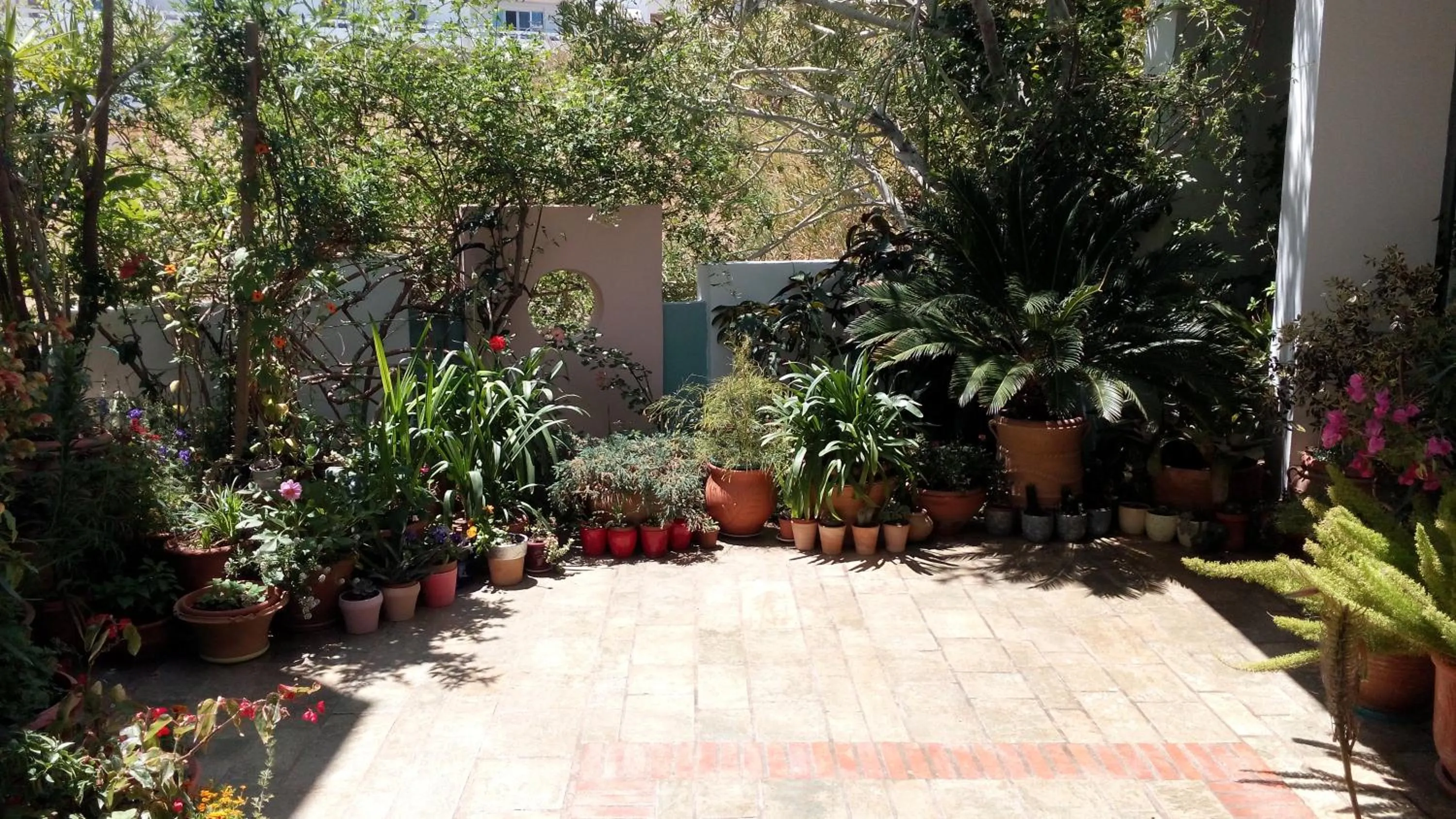 Garden in Hotel Kleopatra