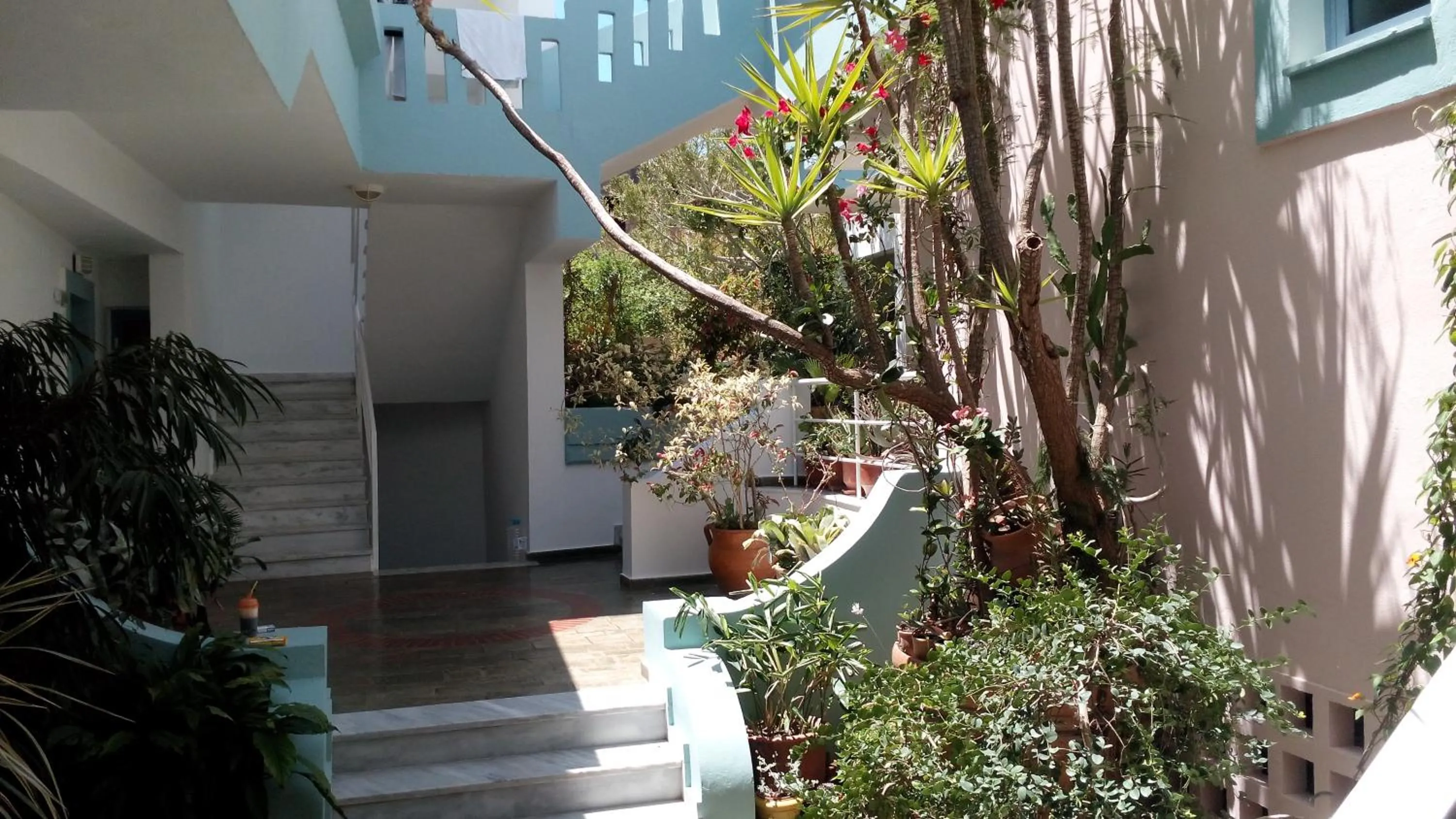 Garden in Hotel Kleopatra