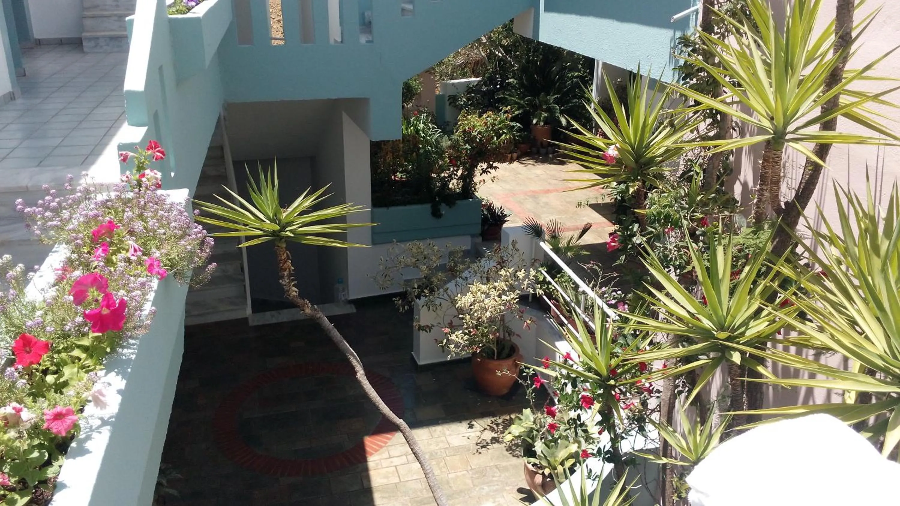 Garden view in Hotel Kleopatra
