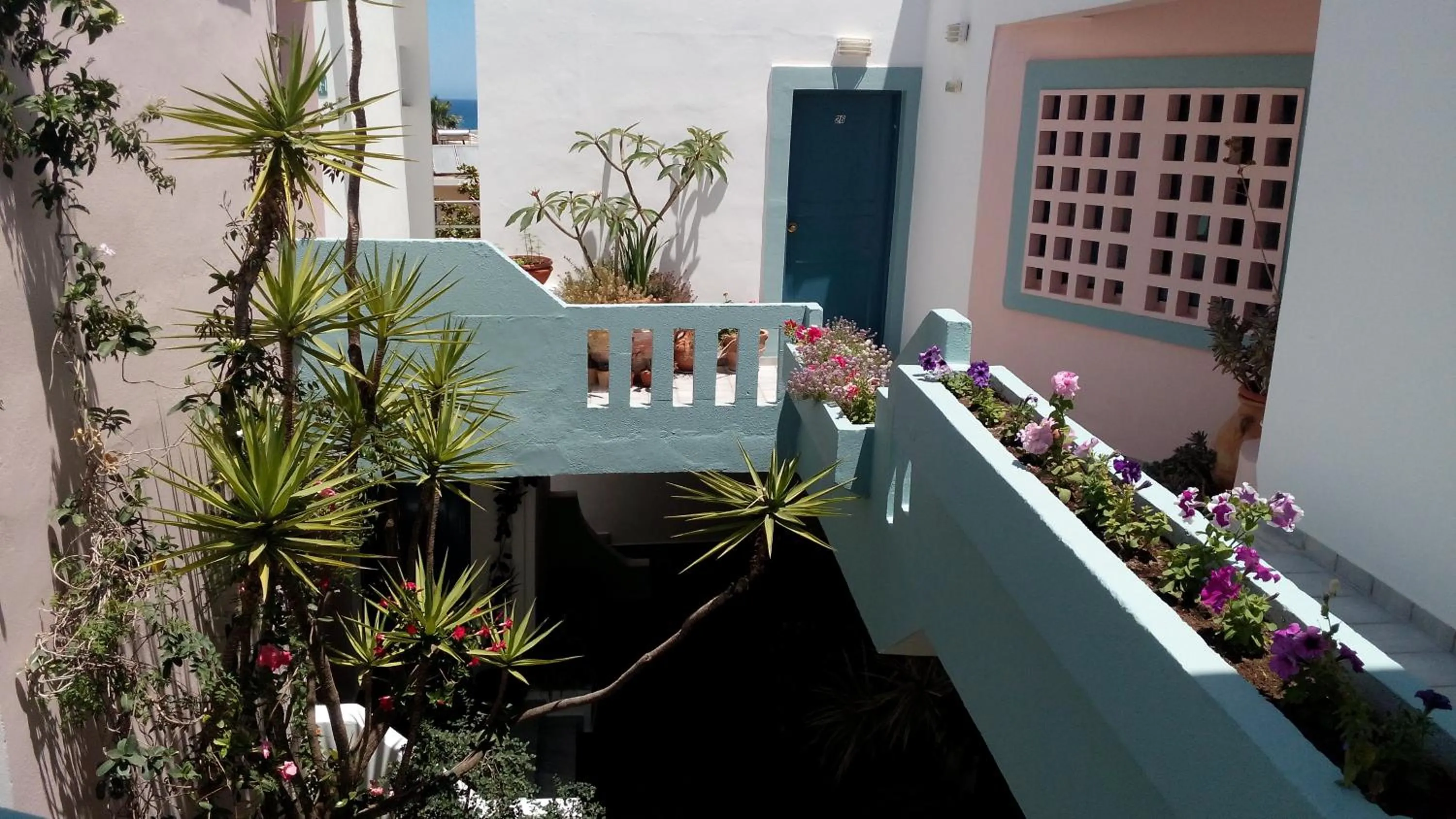 Balcony/Terrace in Hotel Kleopatra