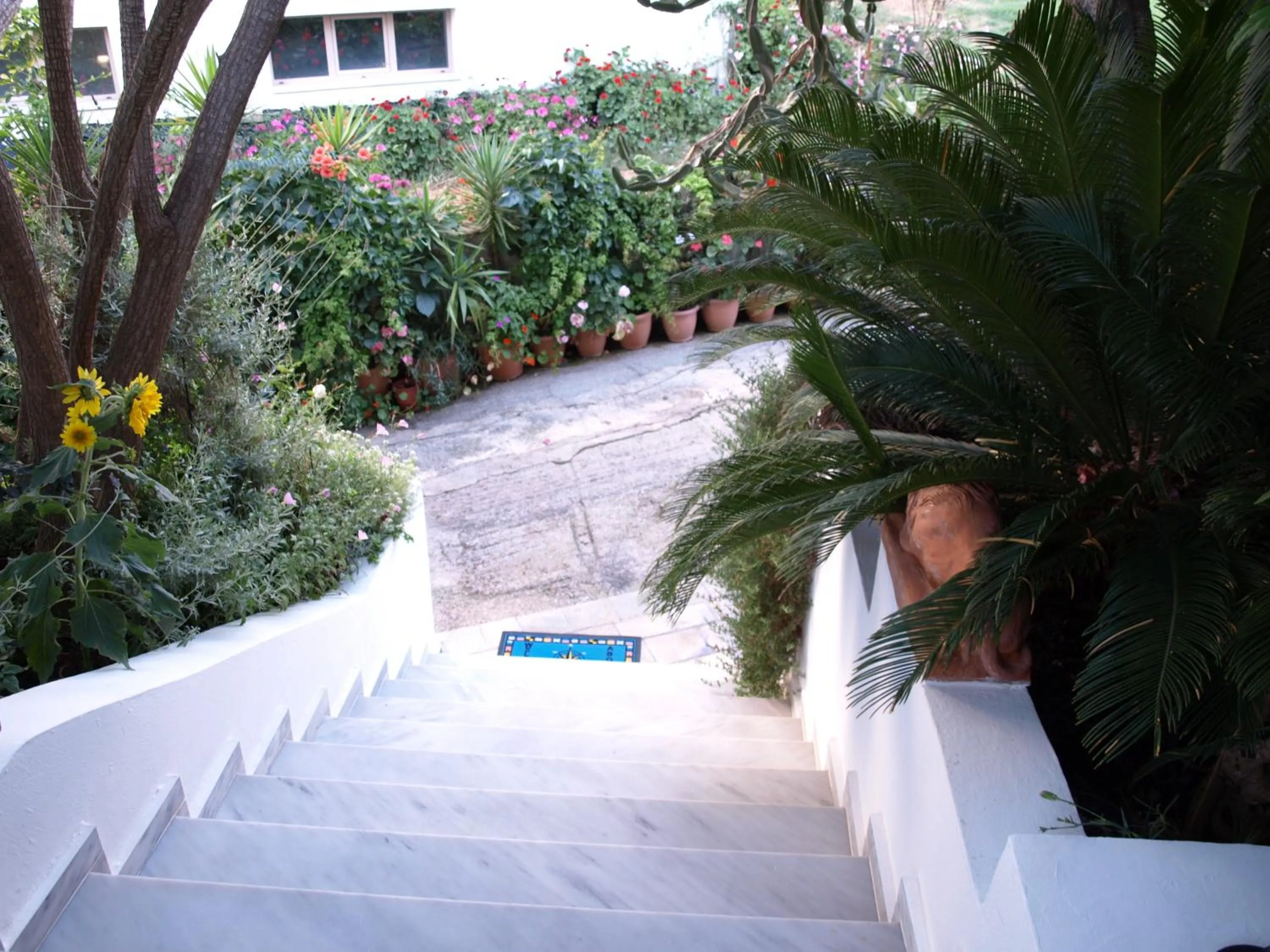 Facade/entrance in Hotel Kleopatra