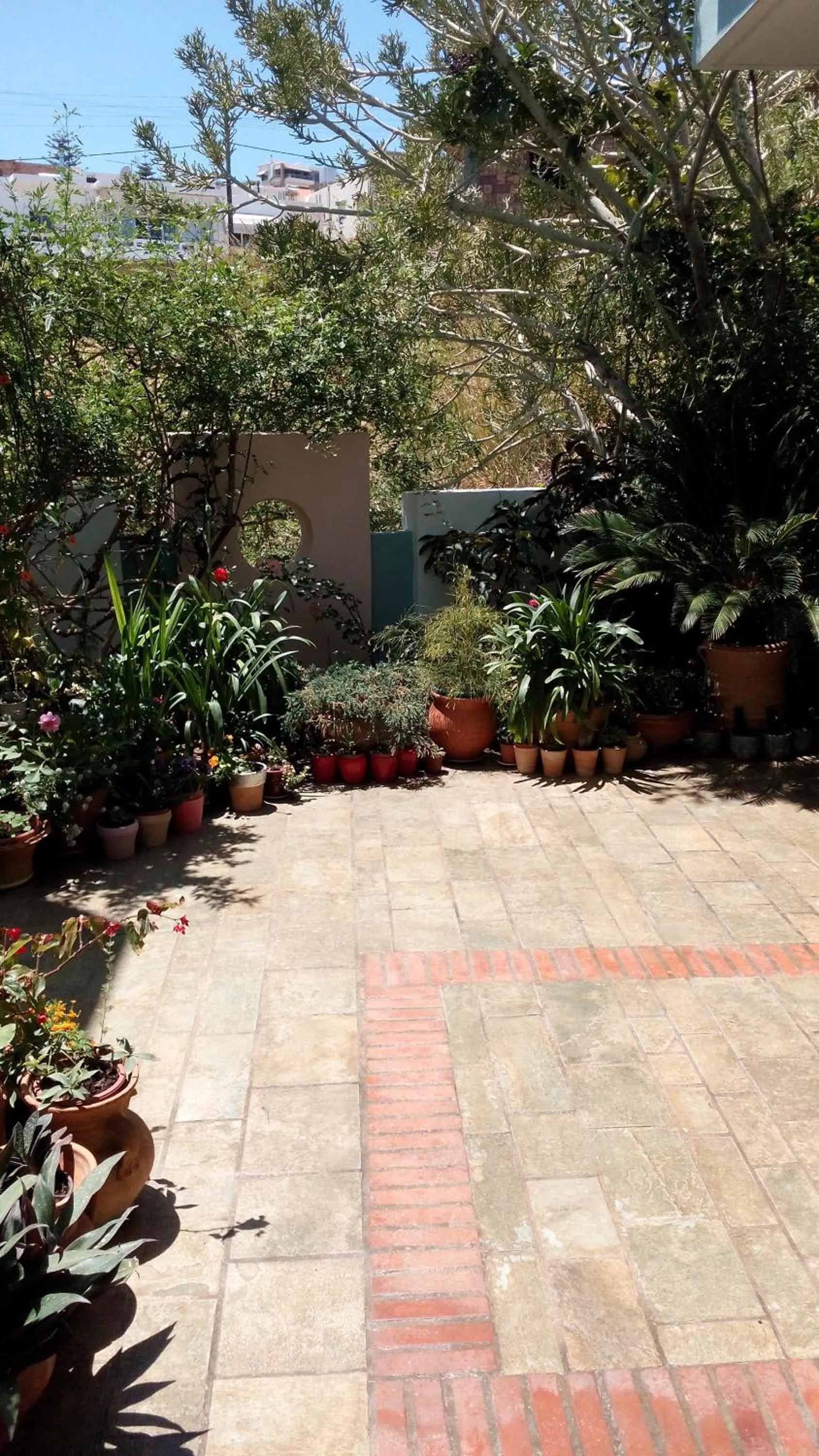 Garden in Hotel Kleopatra