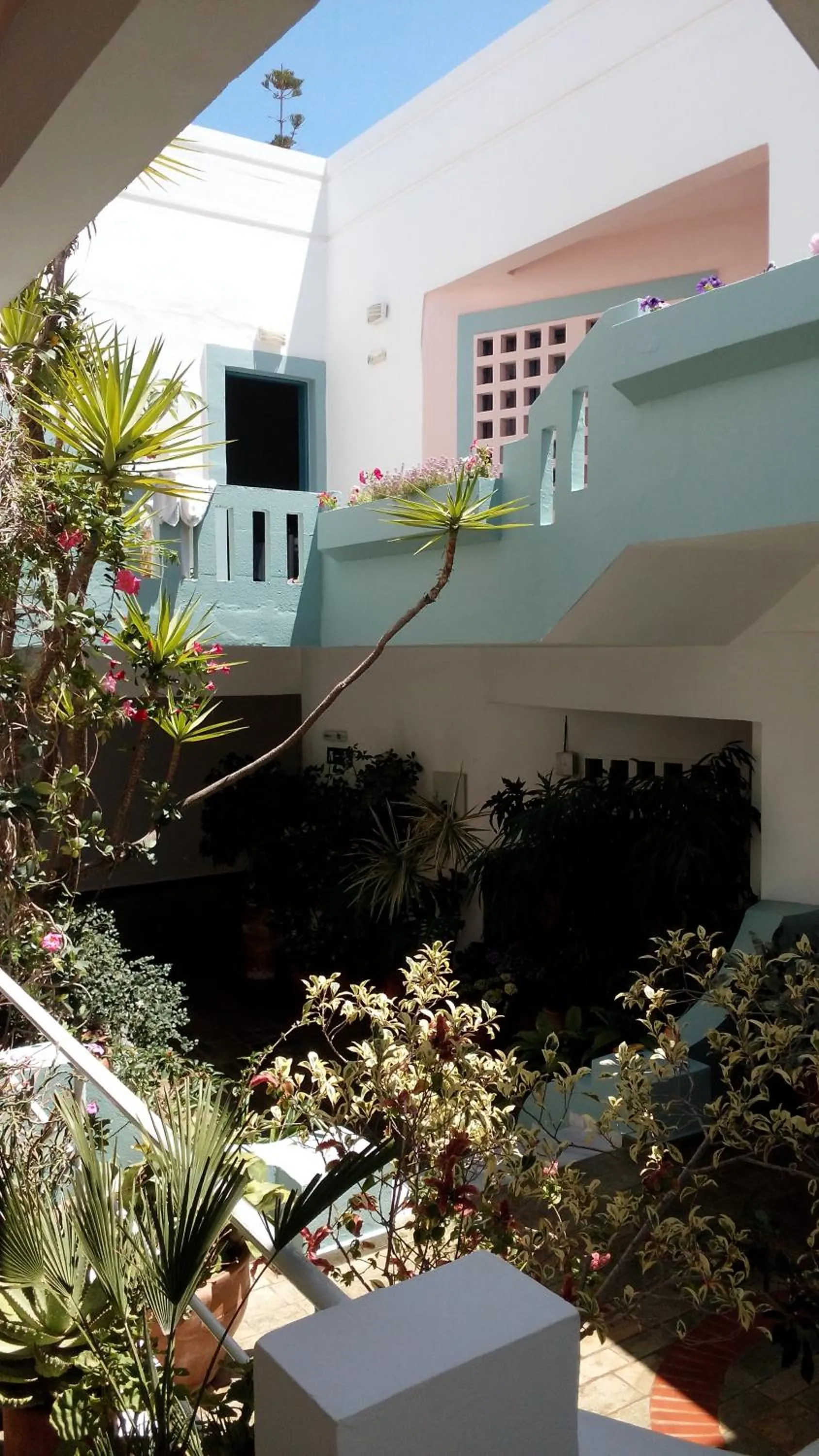Garden in Hotel Kleopatra