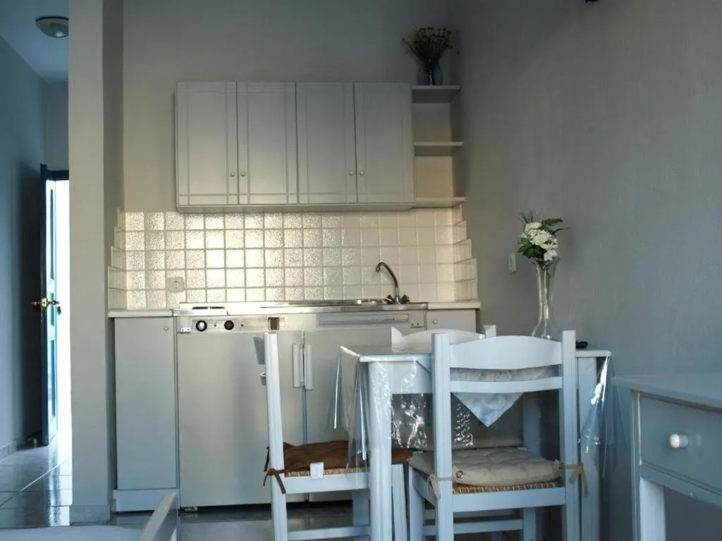 Kitchen or kitchenette in Hotel Kleopatra