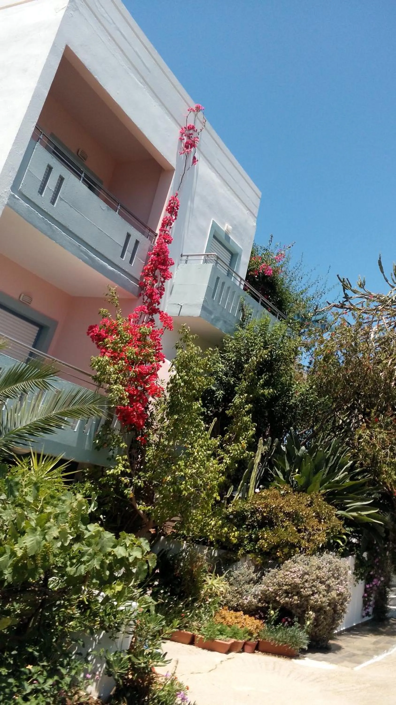 Facade/entrance in Hotel Kleopatra