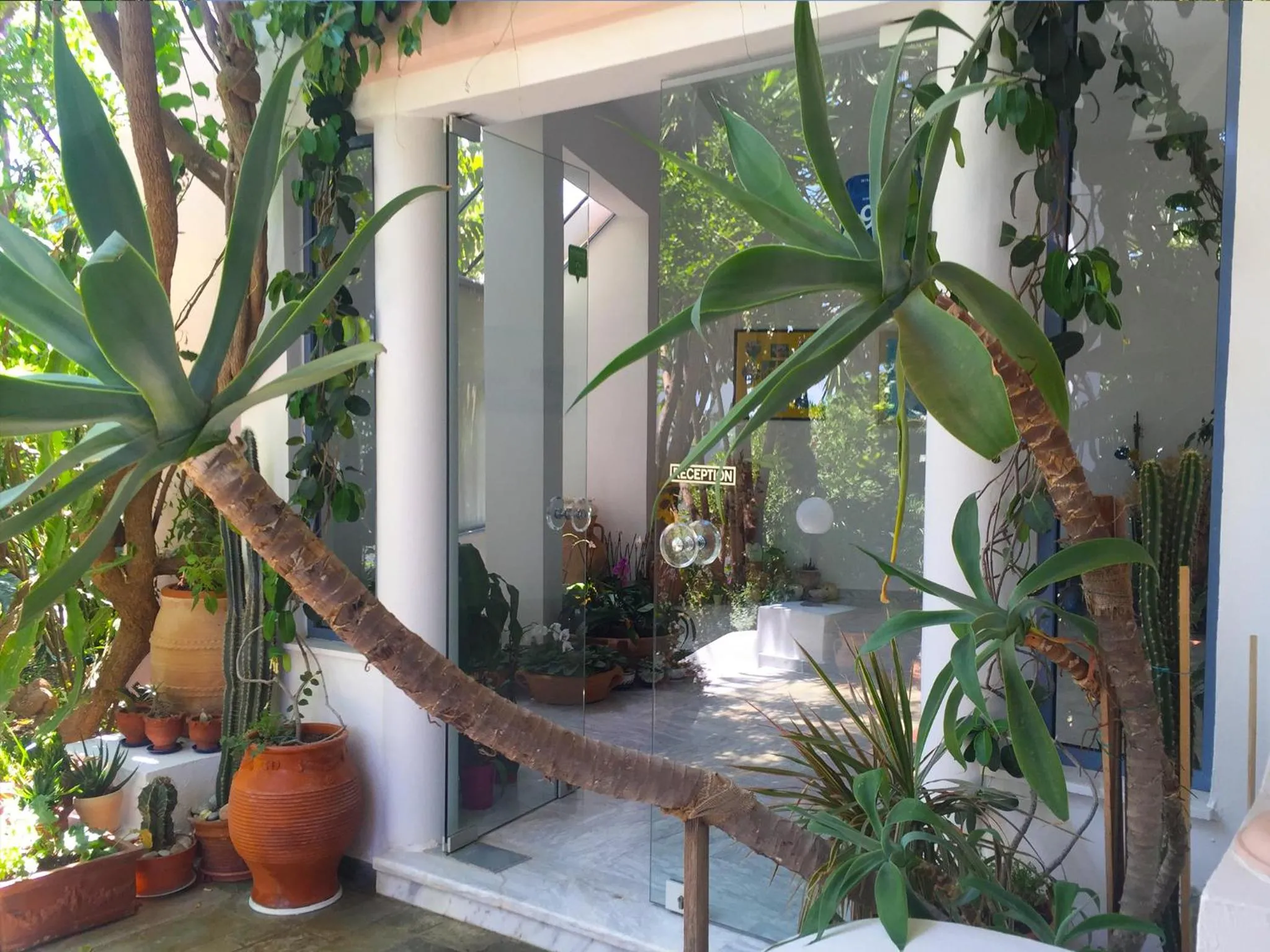 Facade/entrance in Hotel Kleopatra