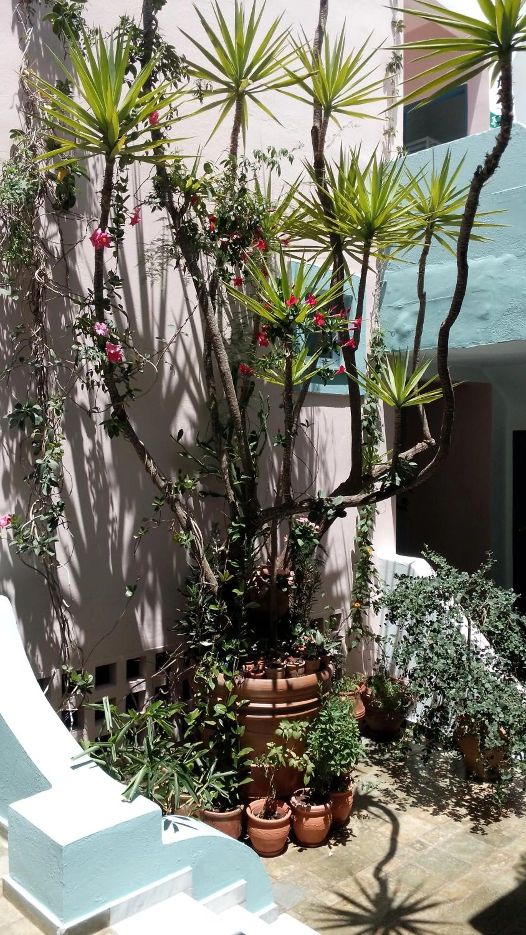 Decorative detail in Hotel Kleopatra