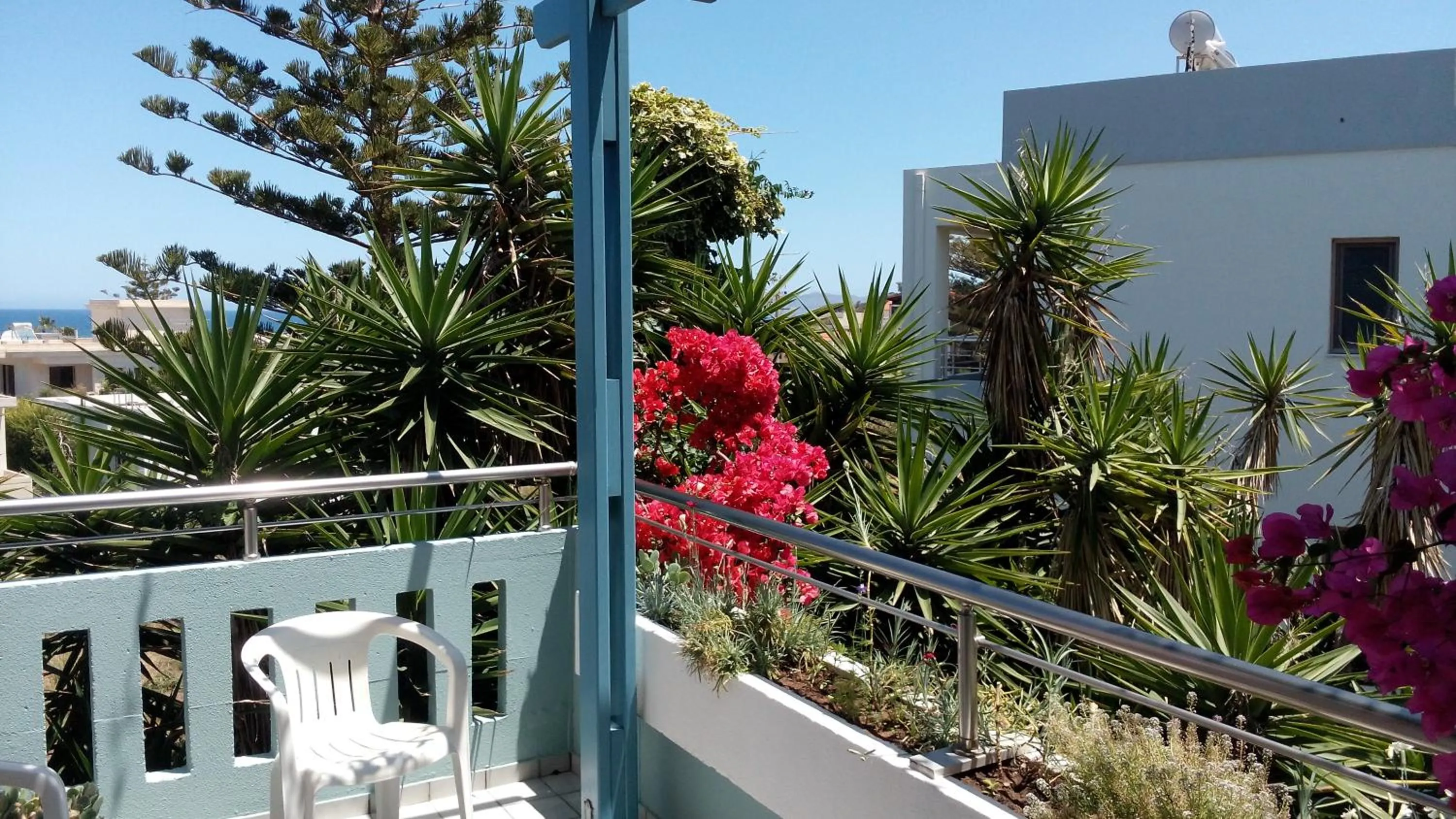 Balcony/Terrace in Hotel Kleopatra