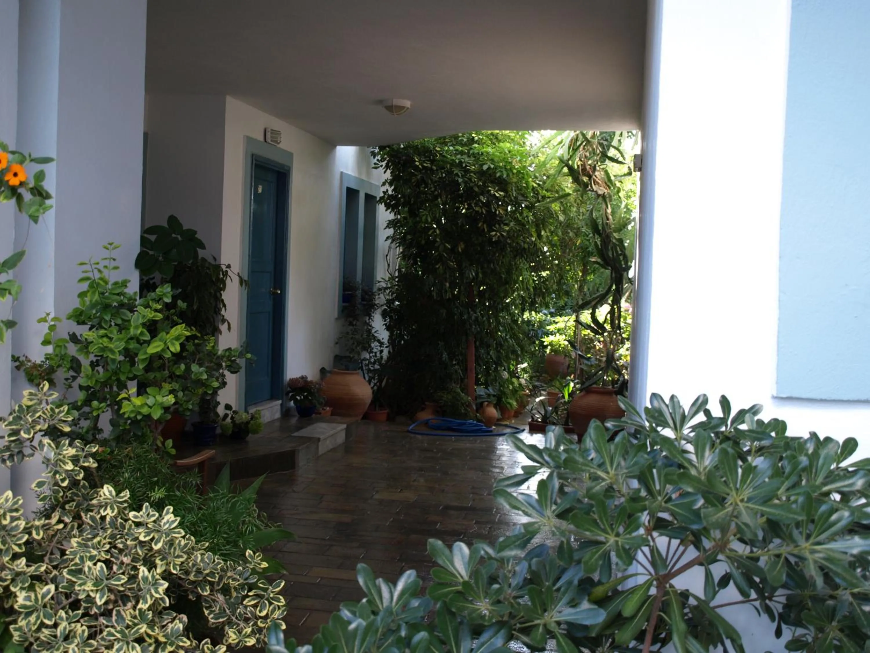 Other in Hotel Kleopatra