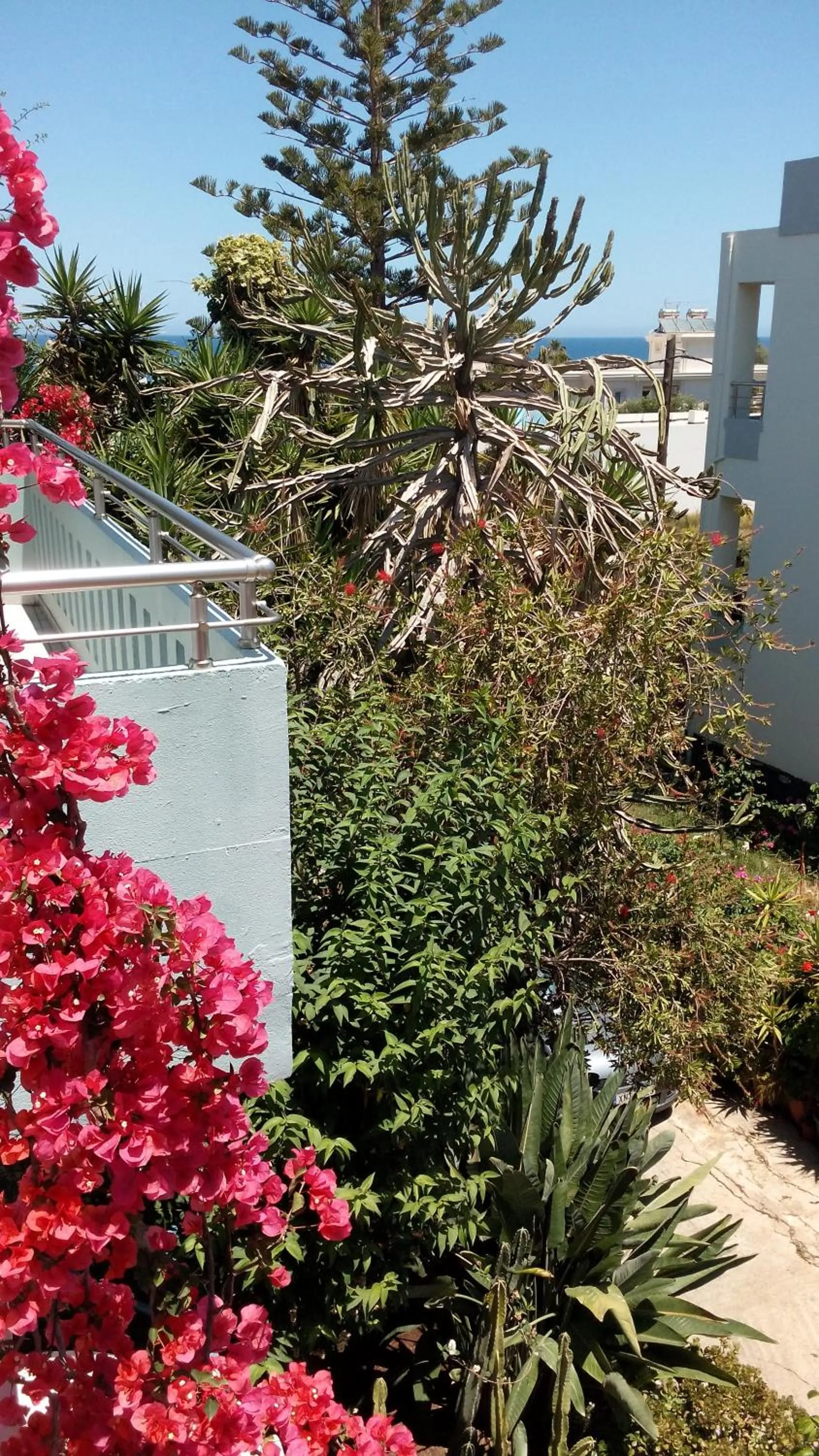 Balcony/Terrace in Hotel Kleopatra