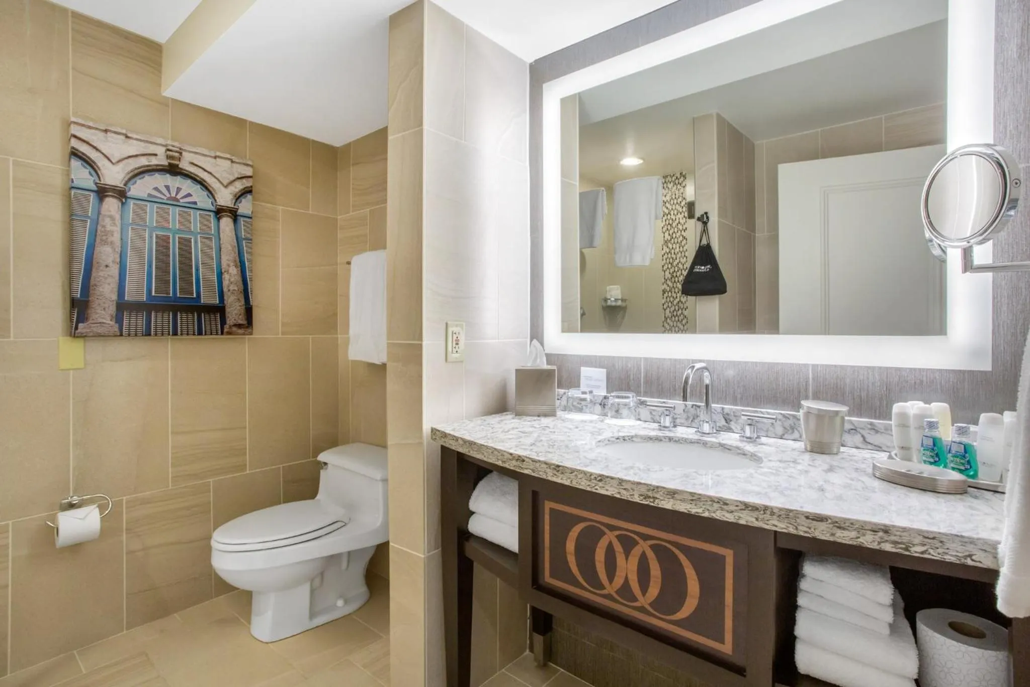 Bathroom in Omni Providence