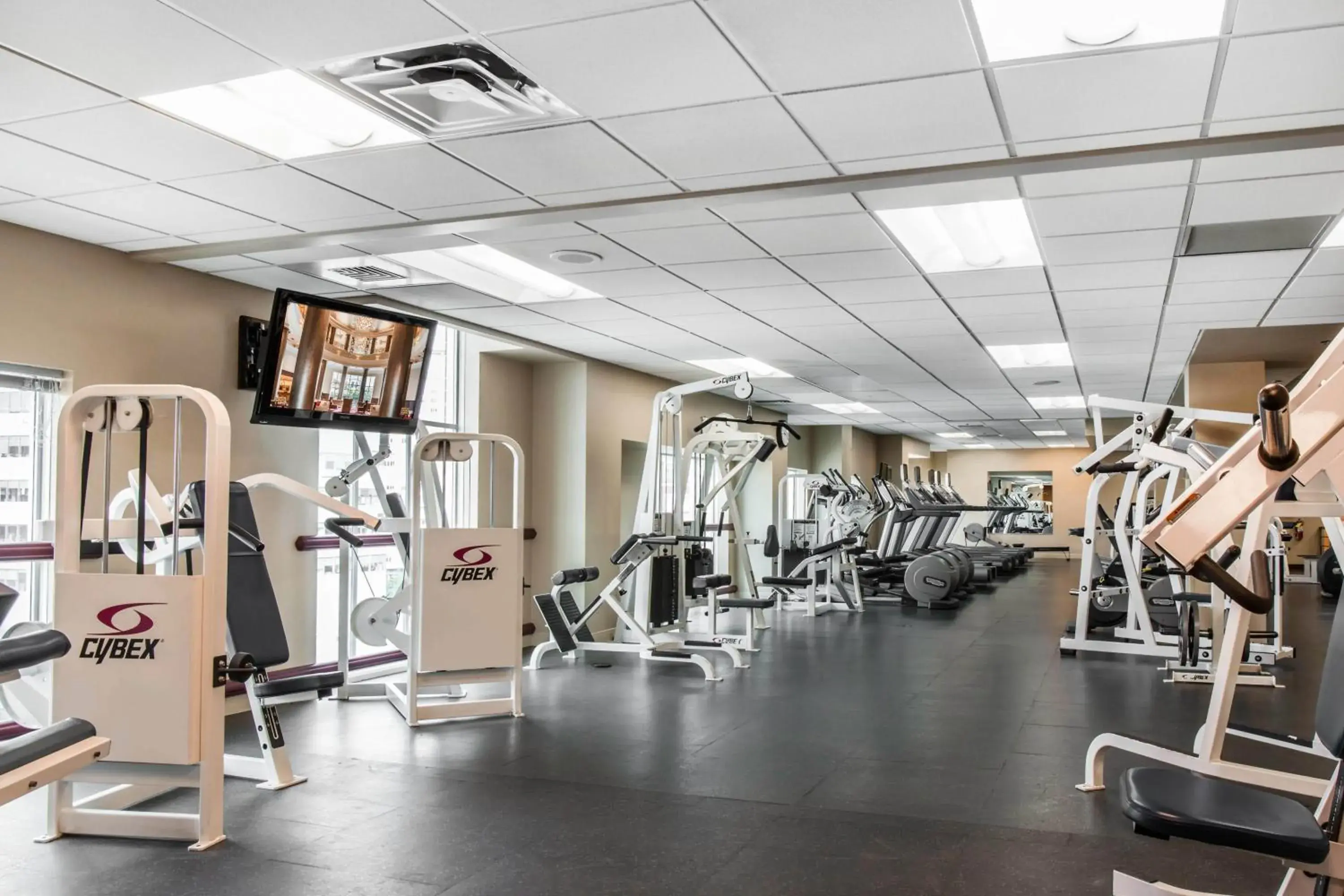 Fitness centre/facilities in Omni Providence Fitness centre/facilities in Omni Providence