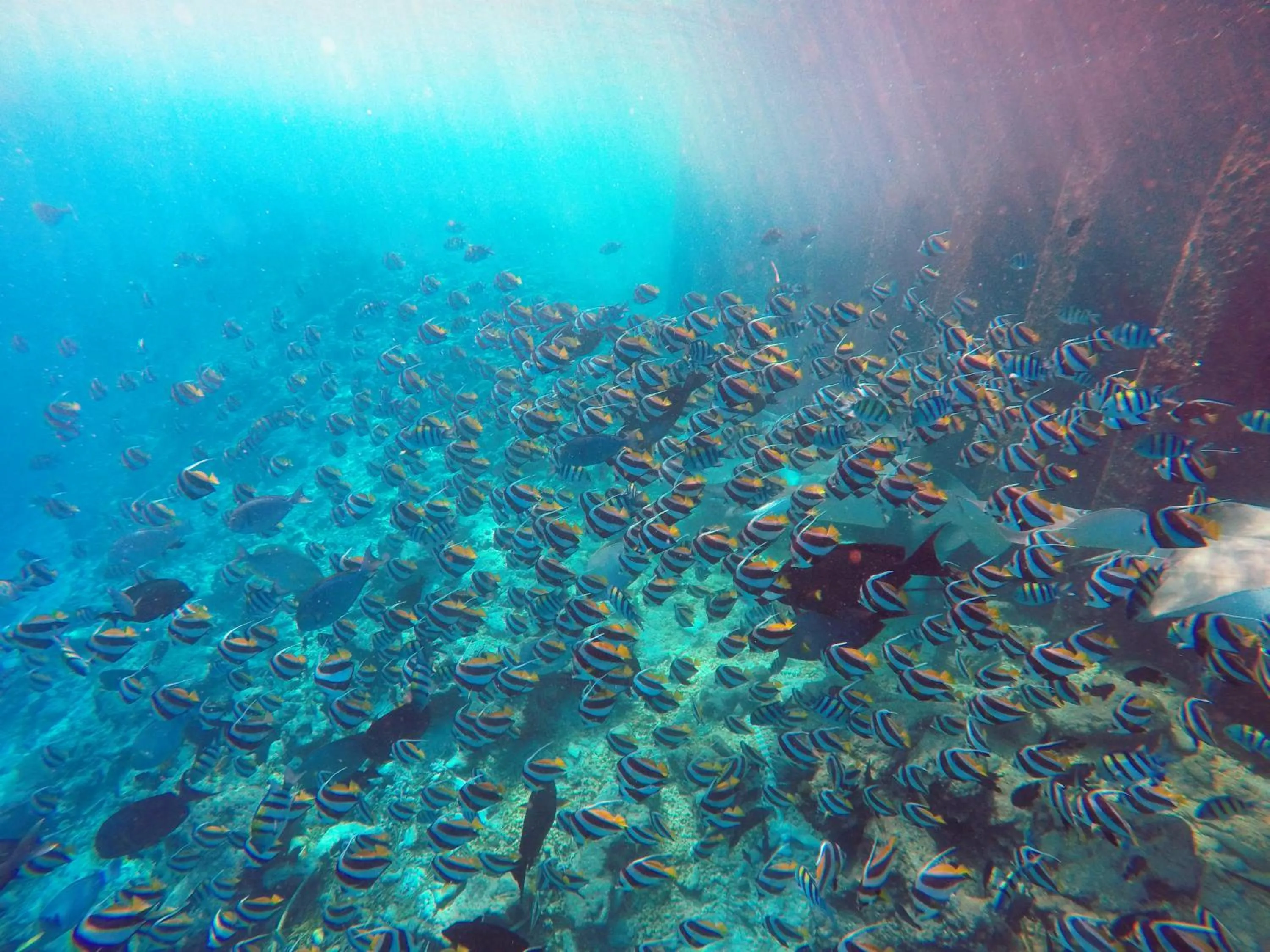 Turquoise Residence by UI