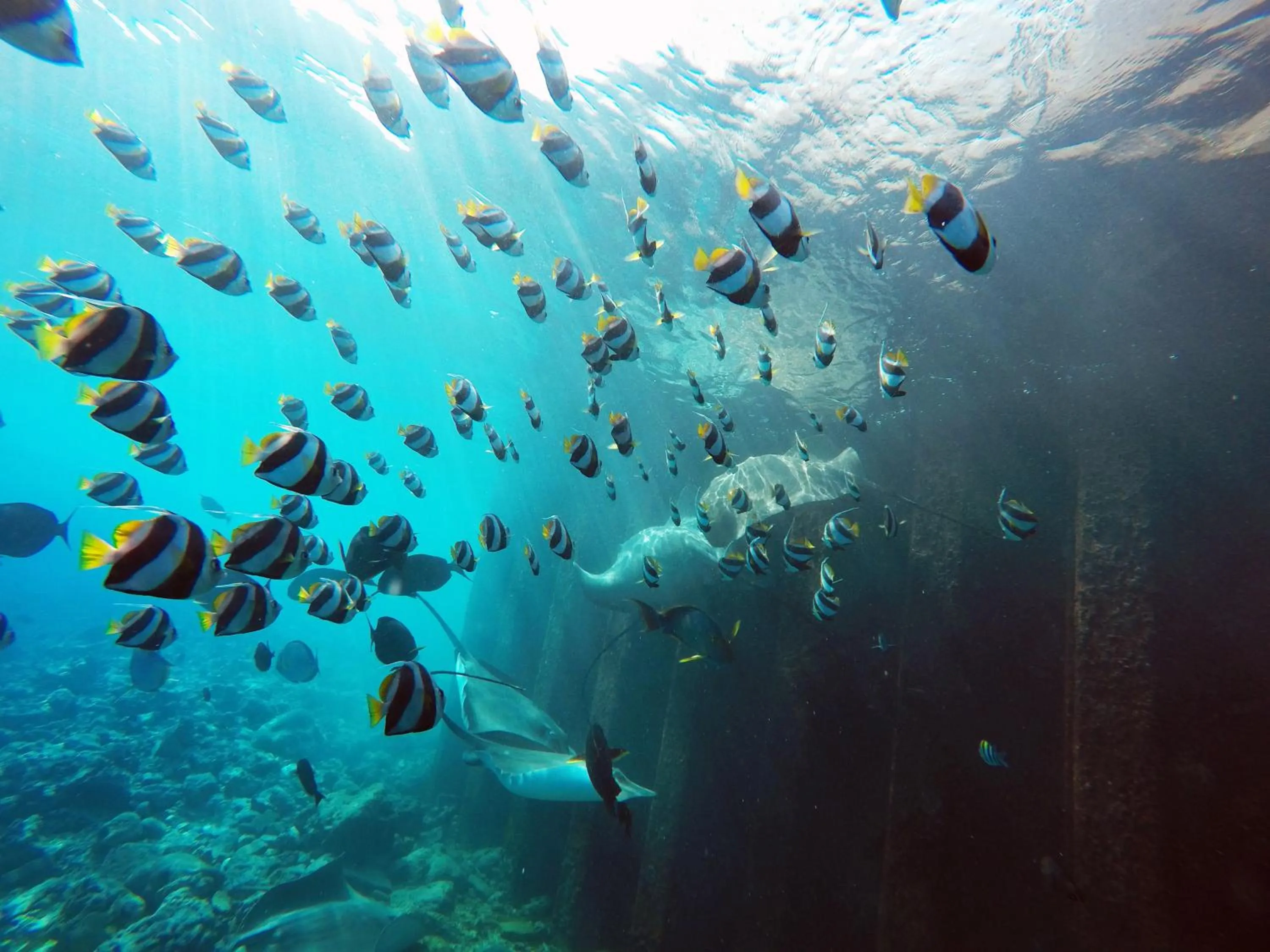 Turquoise Residence by UI