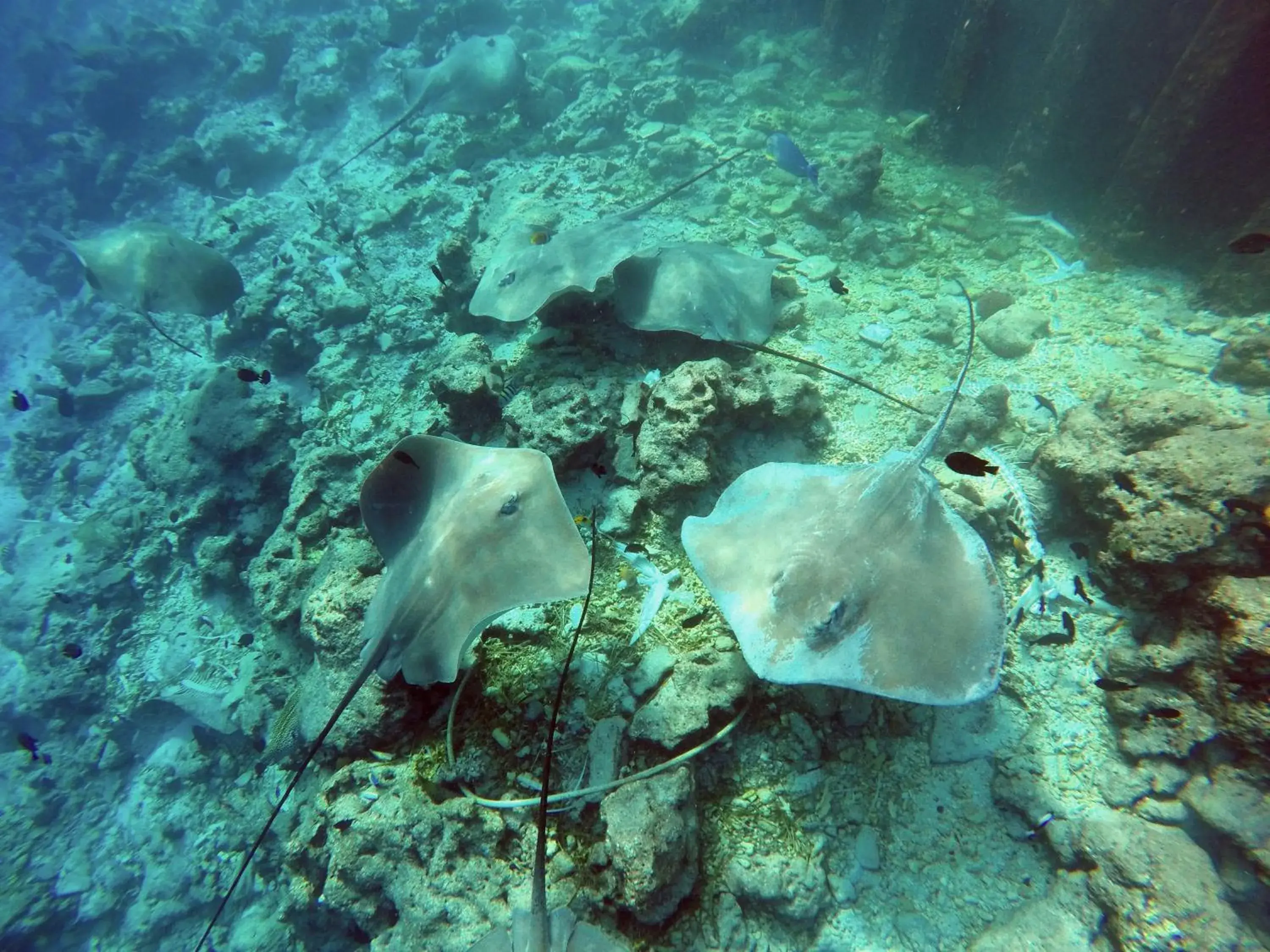 Turquoise Residence by UI Turquoise Residence by UI