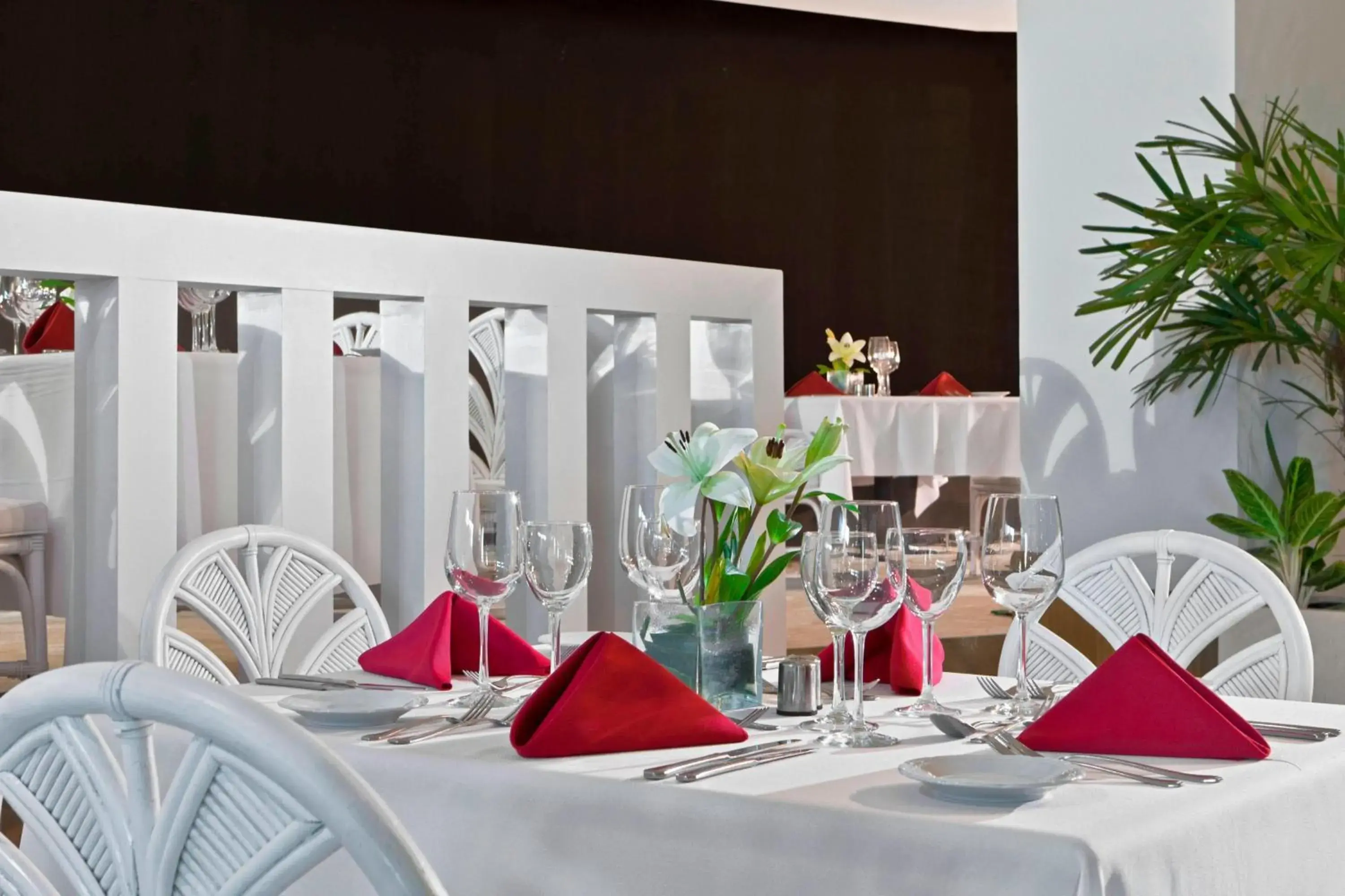 Restaurant/places to eat in Quinto Centenario Hotel Restaurant/places to eat in Quinto Centenario Hotel