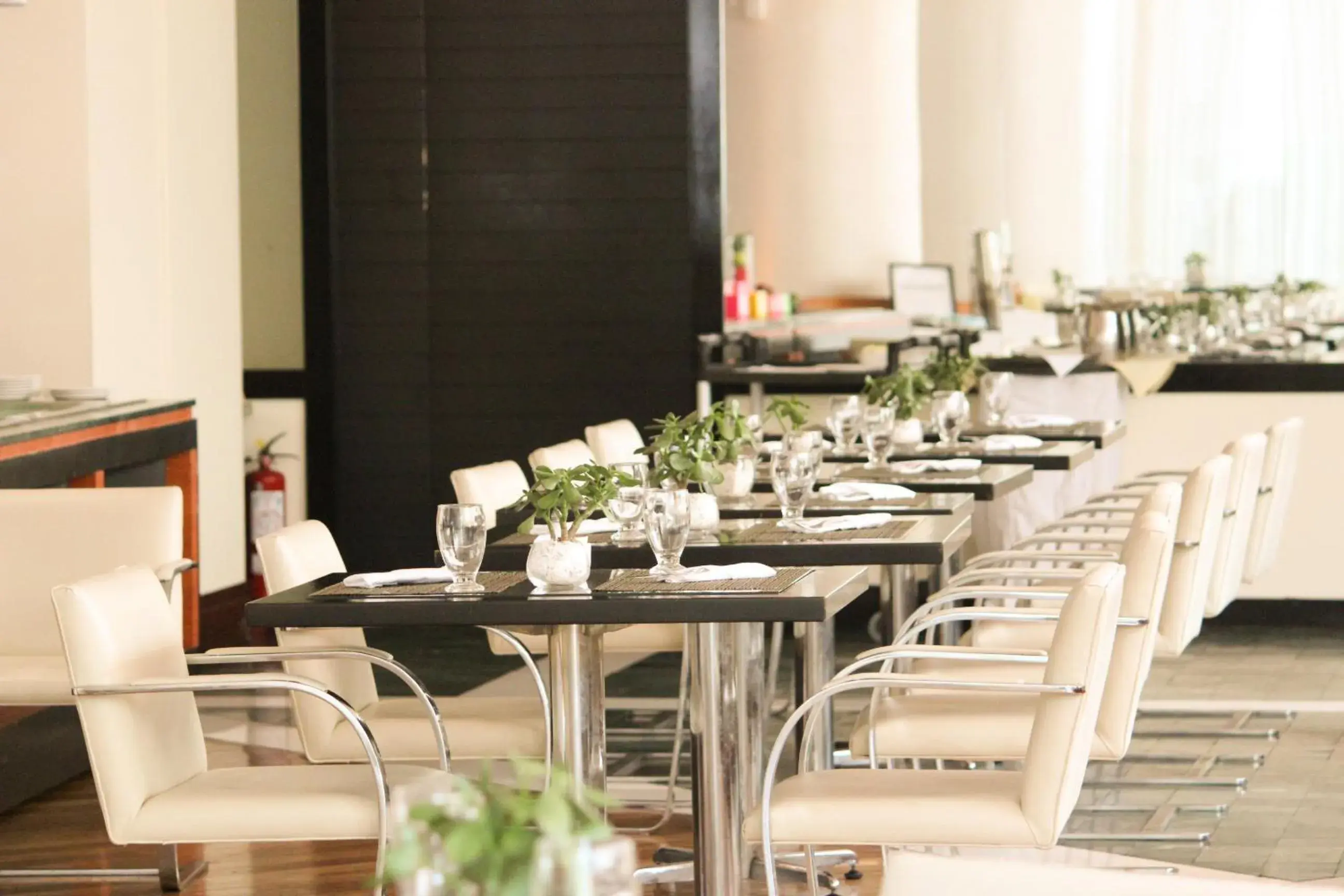 Restaurant/places to eat in Pestana Caracas Premium City & Conference Hotel Restaurant/places to eat in Pestana Caracas Premium City & Conference Hotel