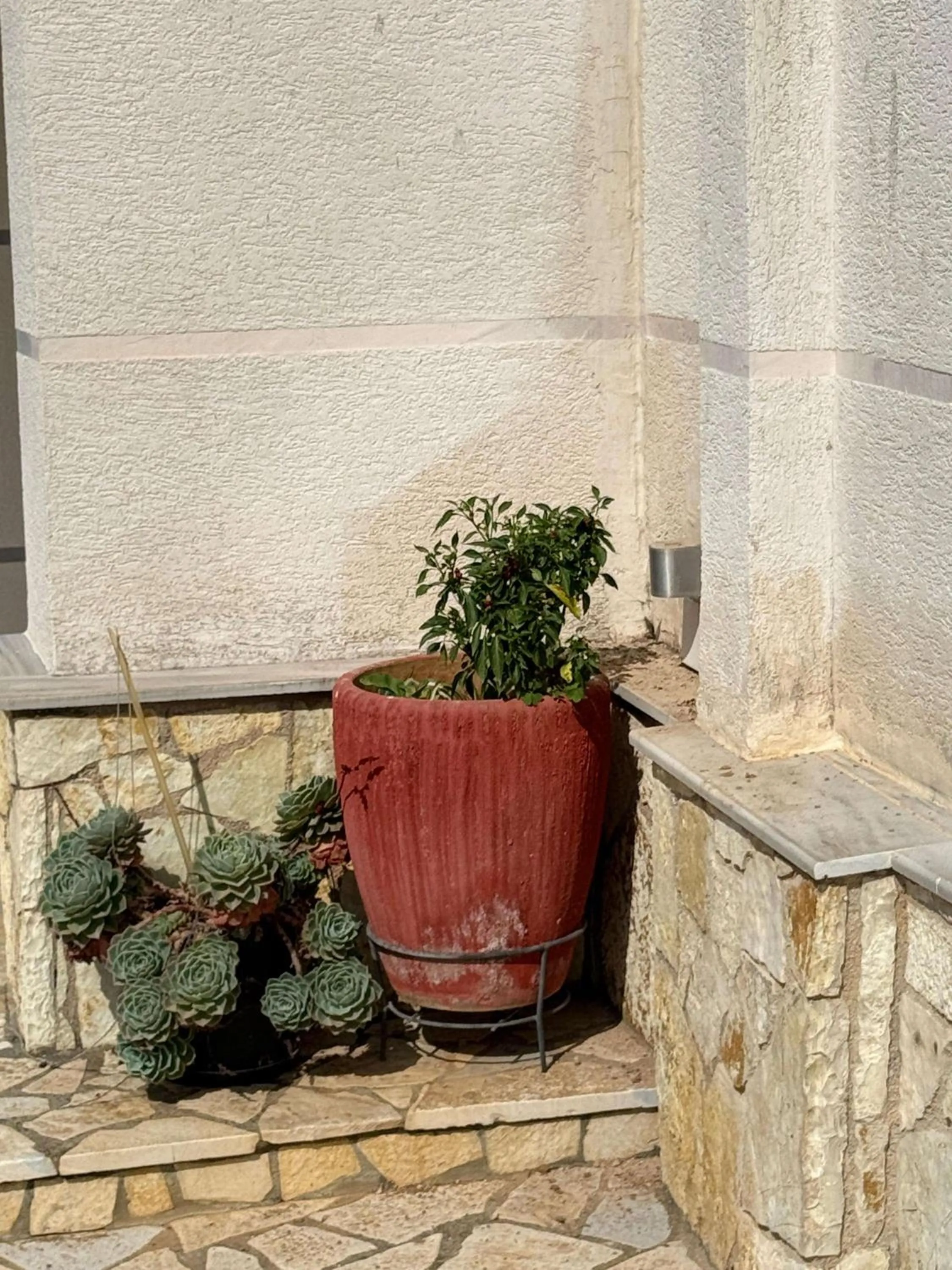 Garden in Vila Bilali
