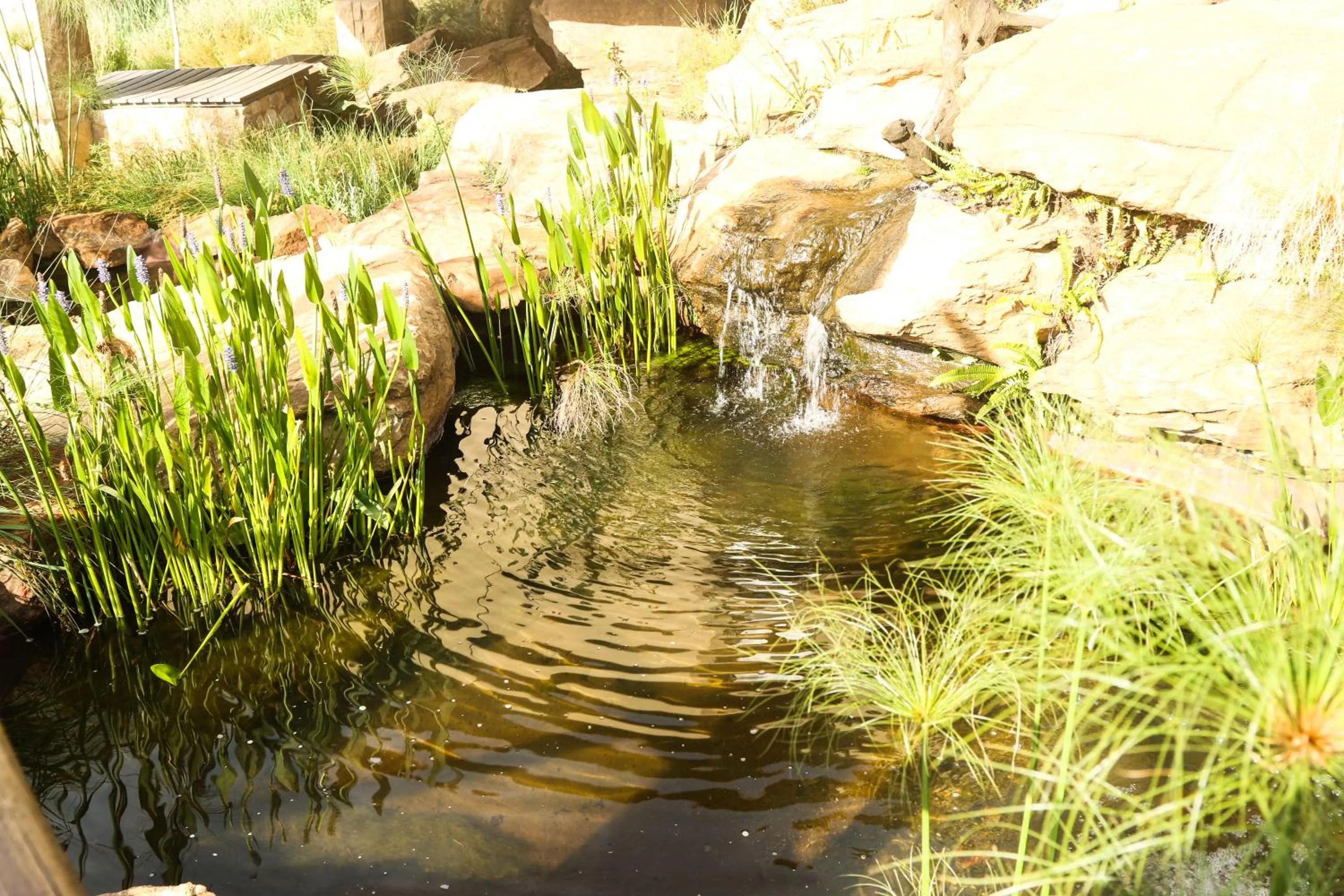 Garden view in Heidelberg Kloof Lodge