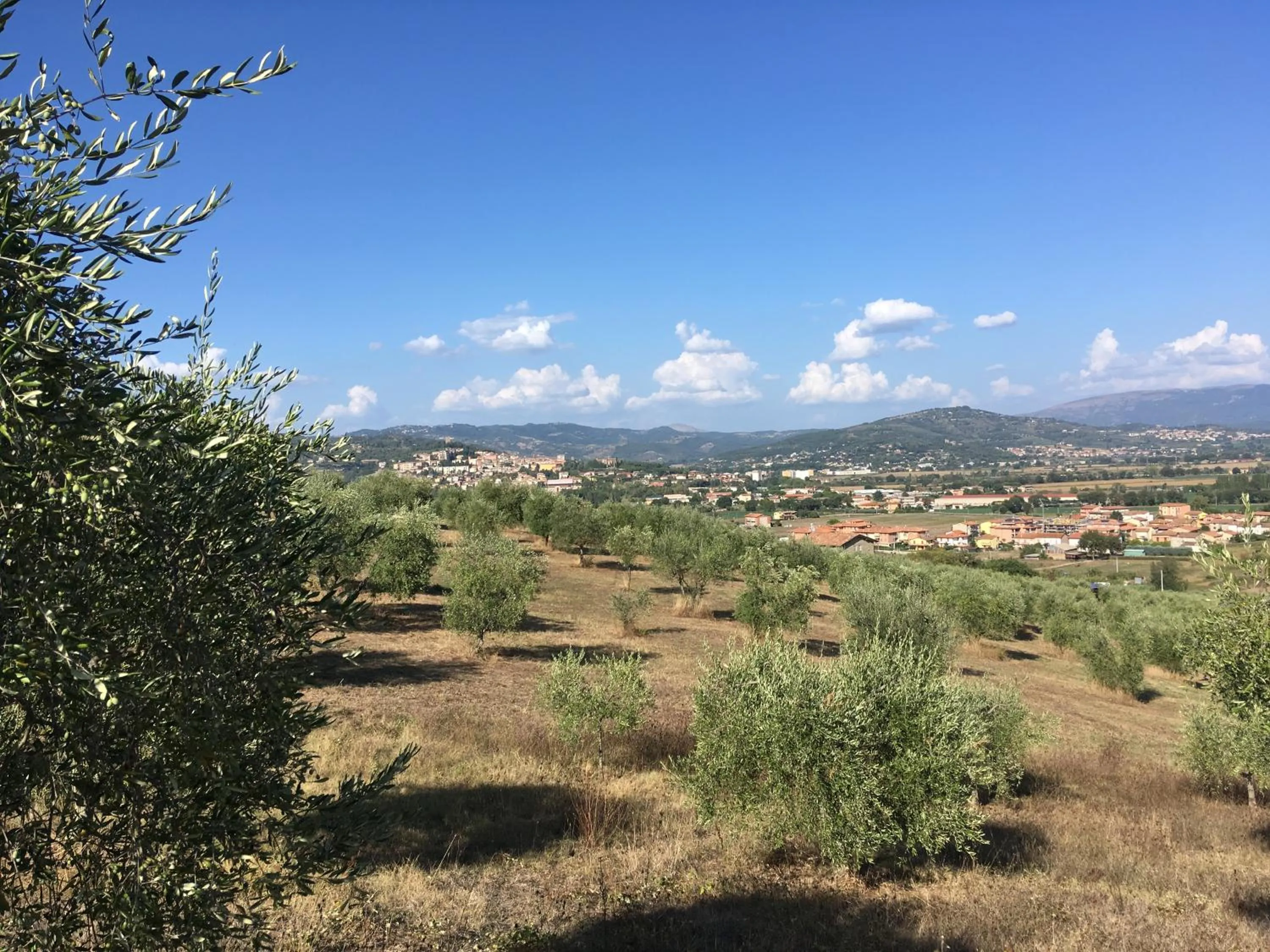 City view in Le Terre Di Isa