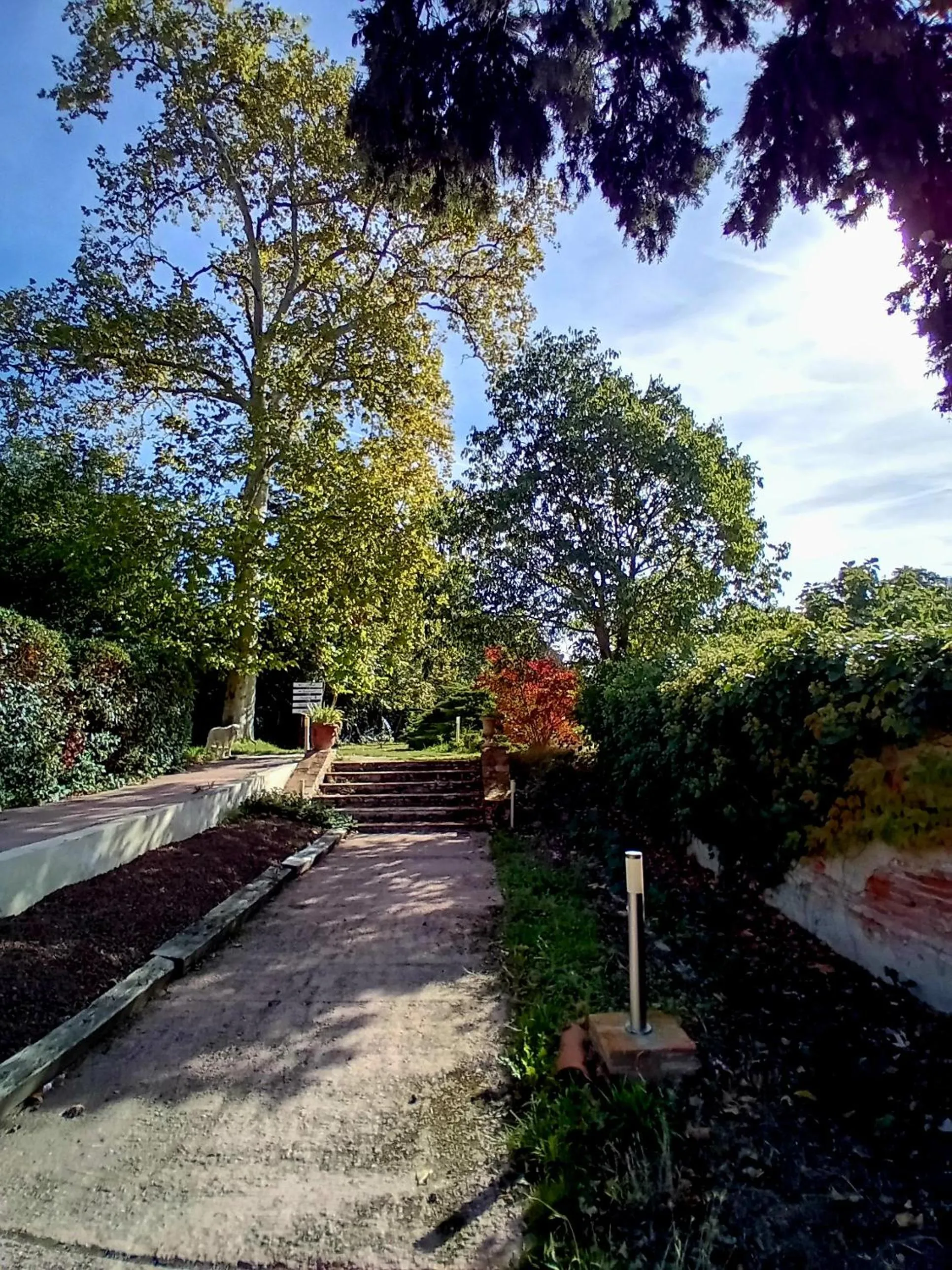 Garden in Logis Domaine de Peyrolade