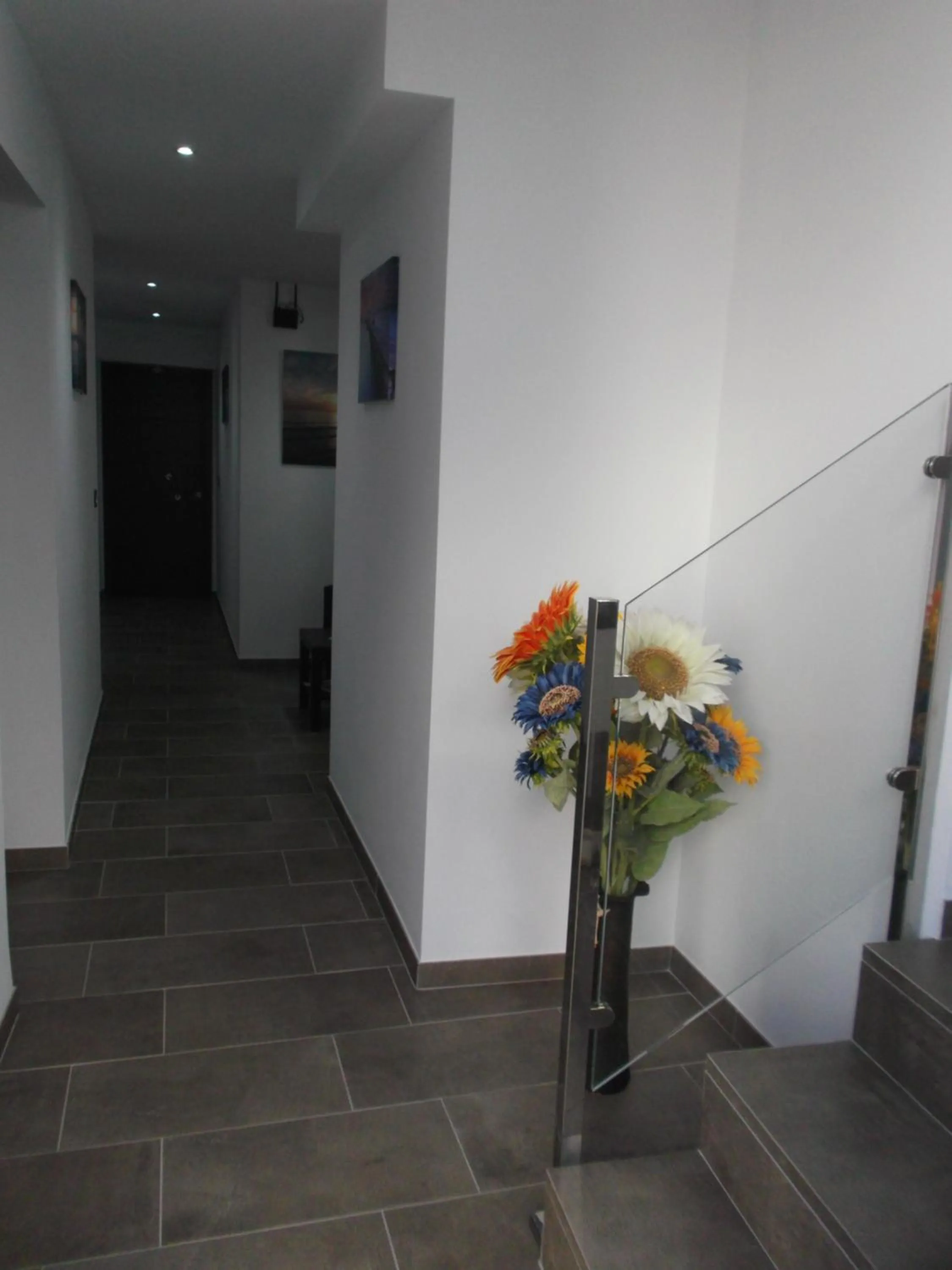 Hostal Maria Jose