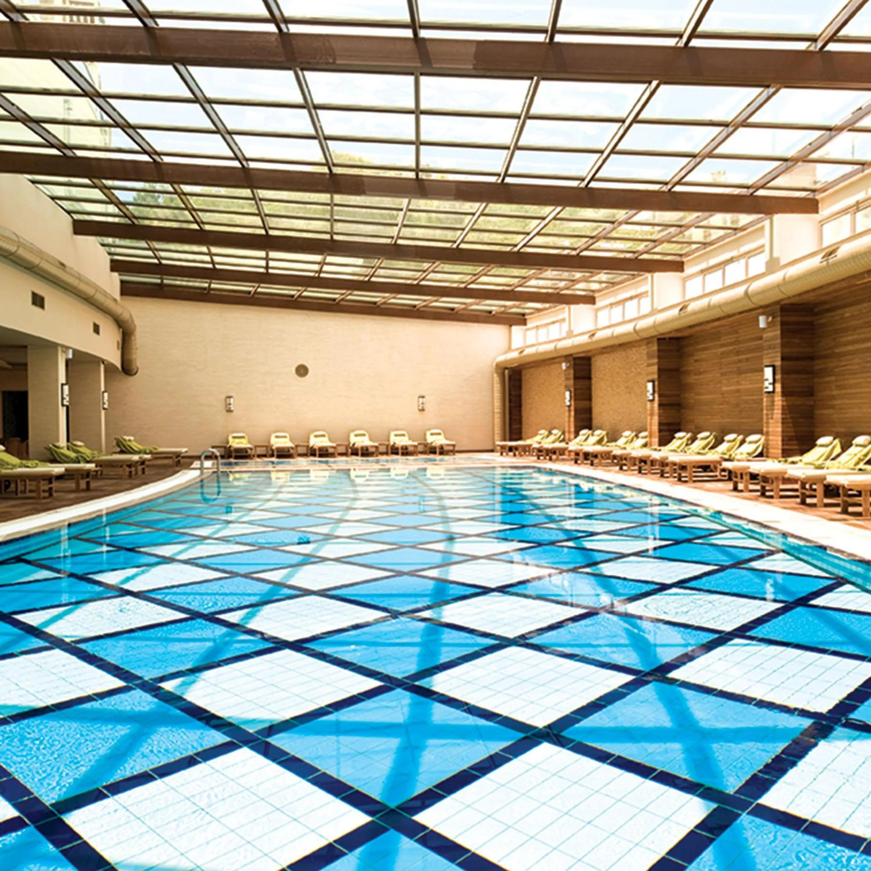 Swimming pool in Paloma Pasha