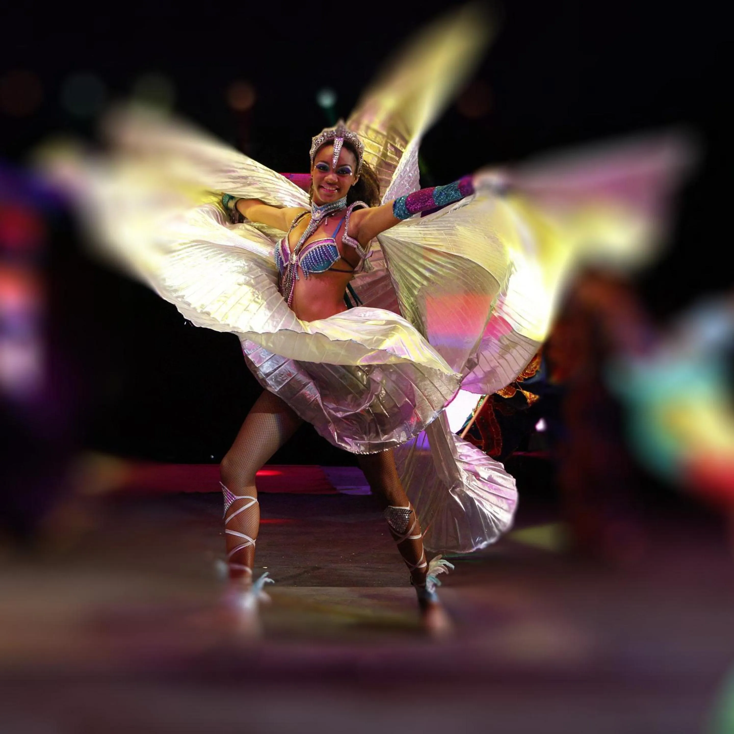 Activities in Paloma Pasha