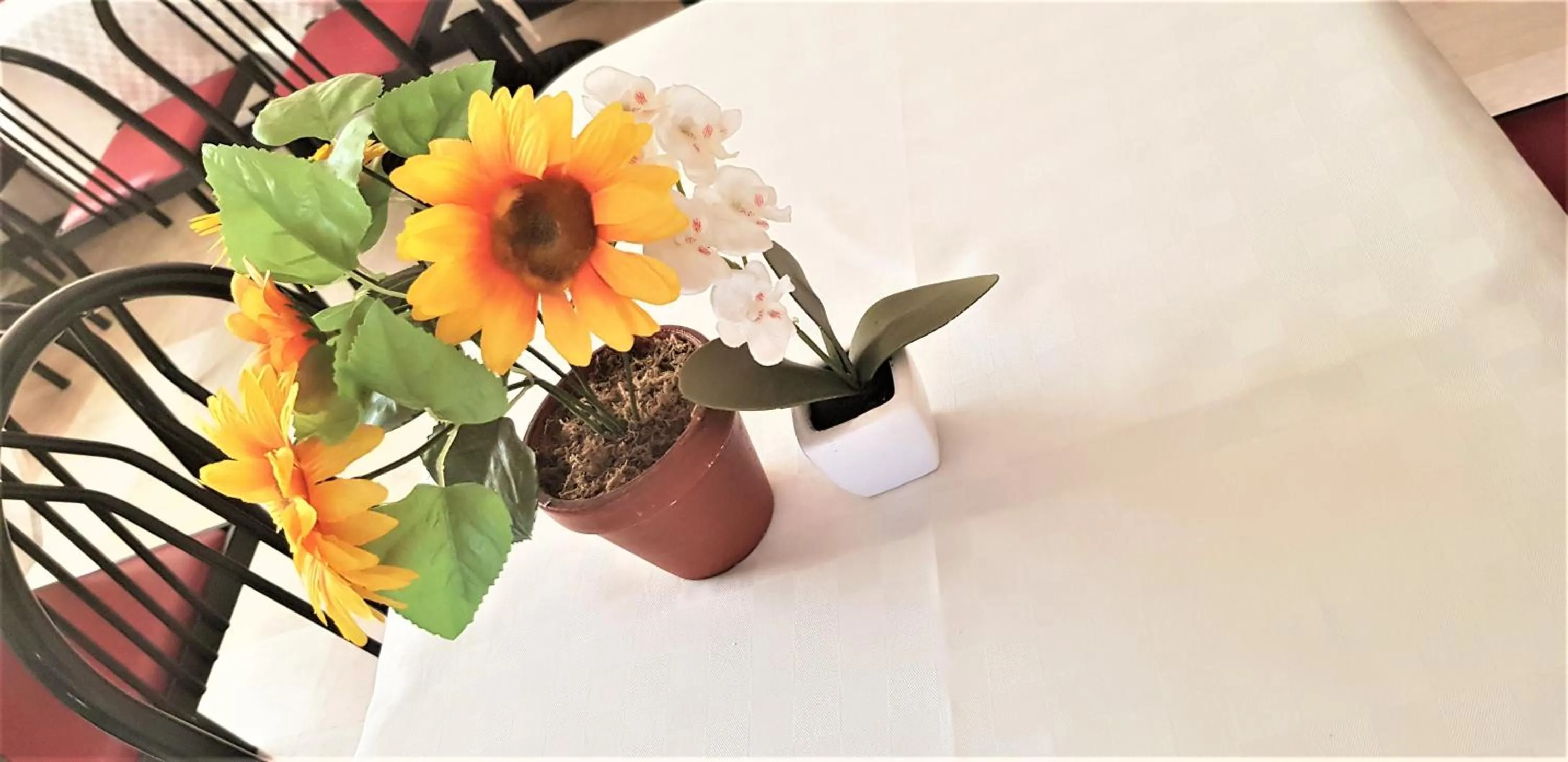 Lounge or bar in Hotel Provenza