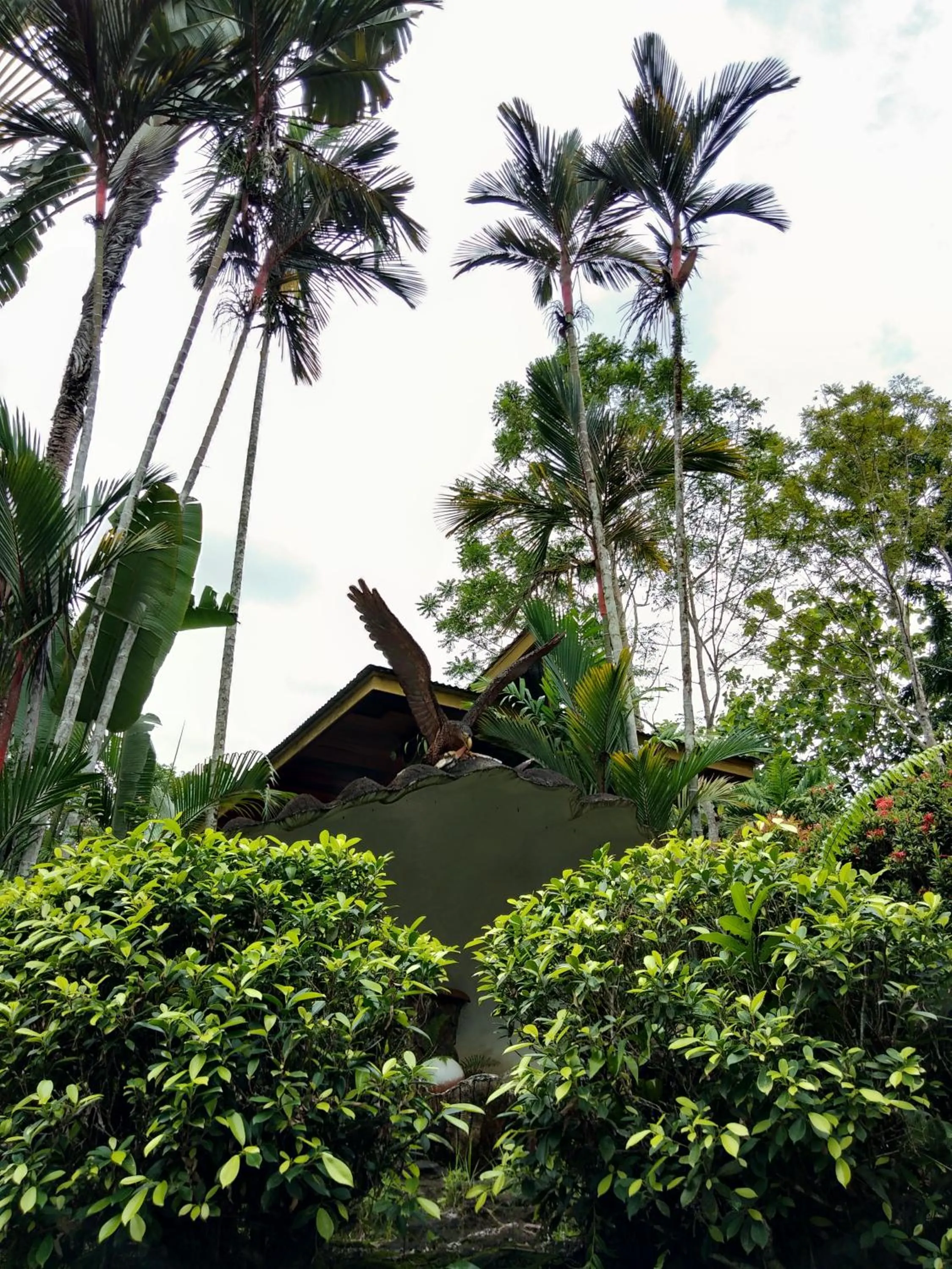 Sepilok Jungle Resort