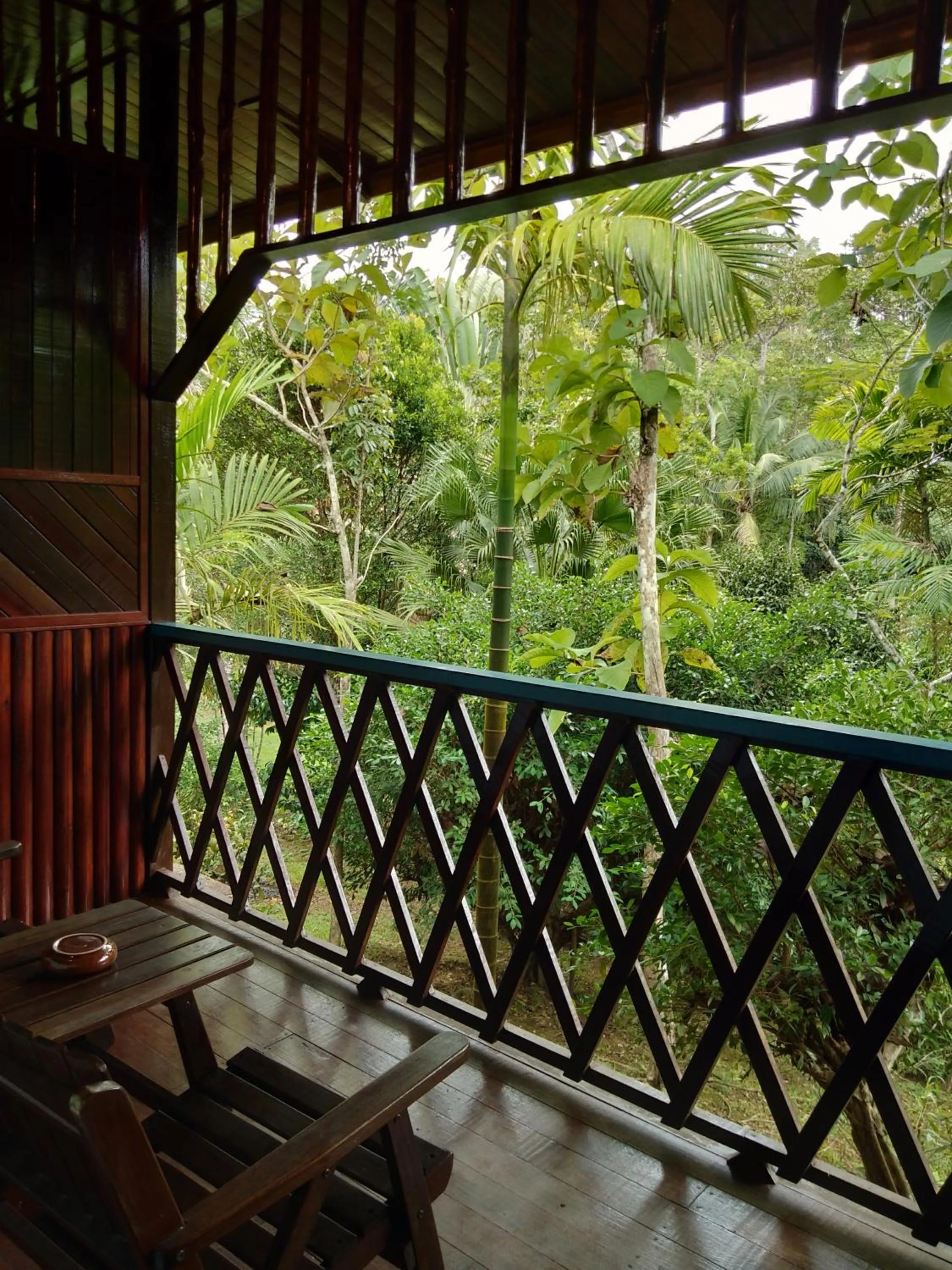 Sepilok Jungle Resort