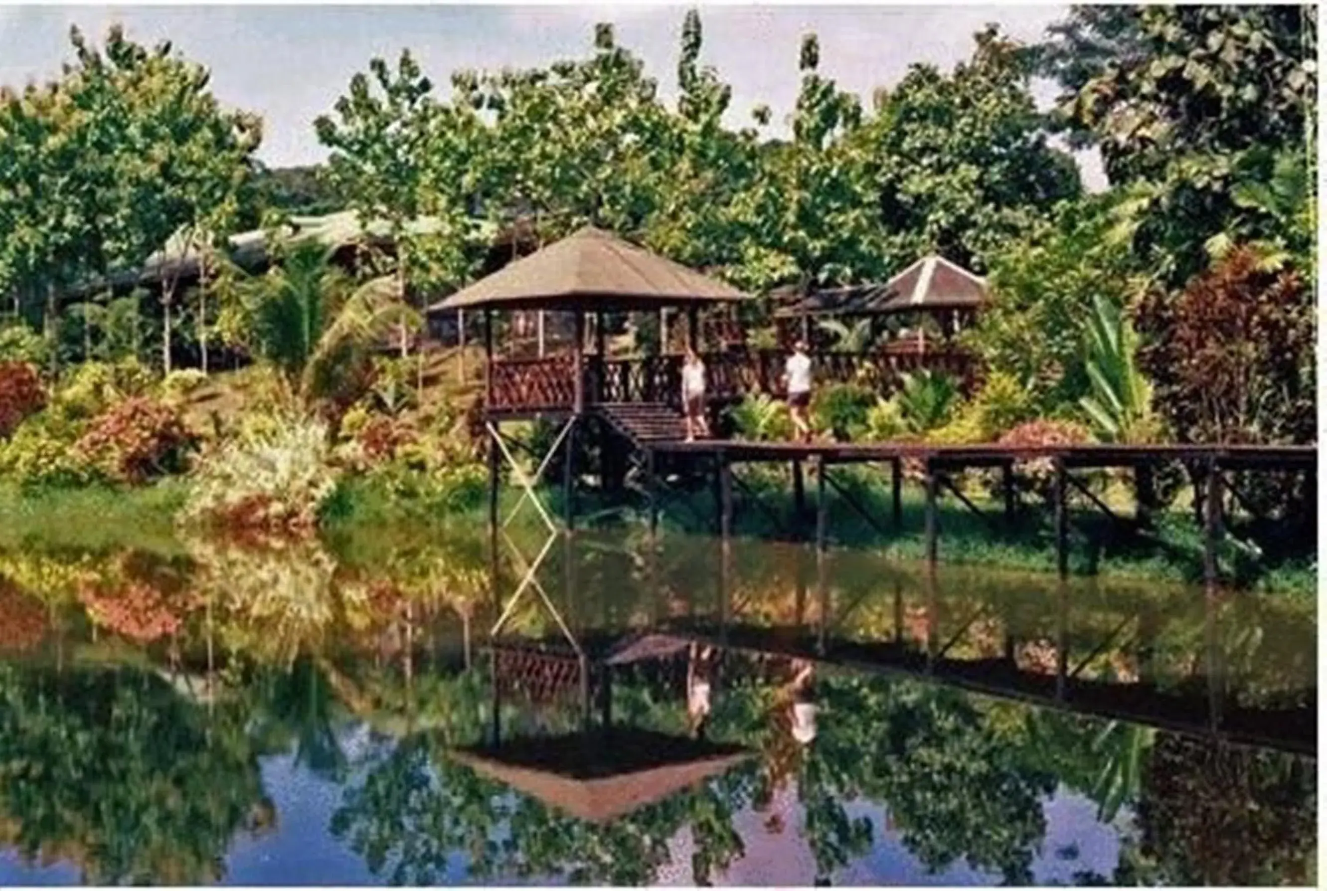 Day in Sepilok Jungle Resort Day in Sepilok Jungle Resort