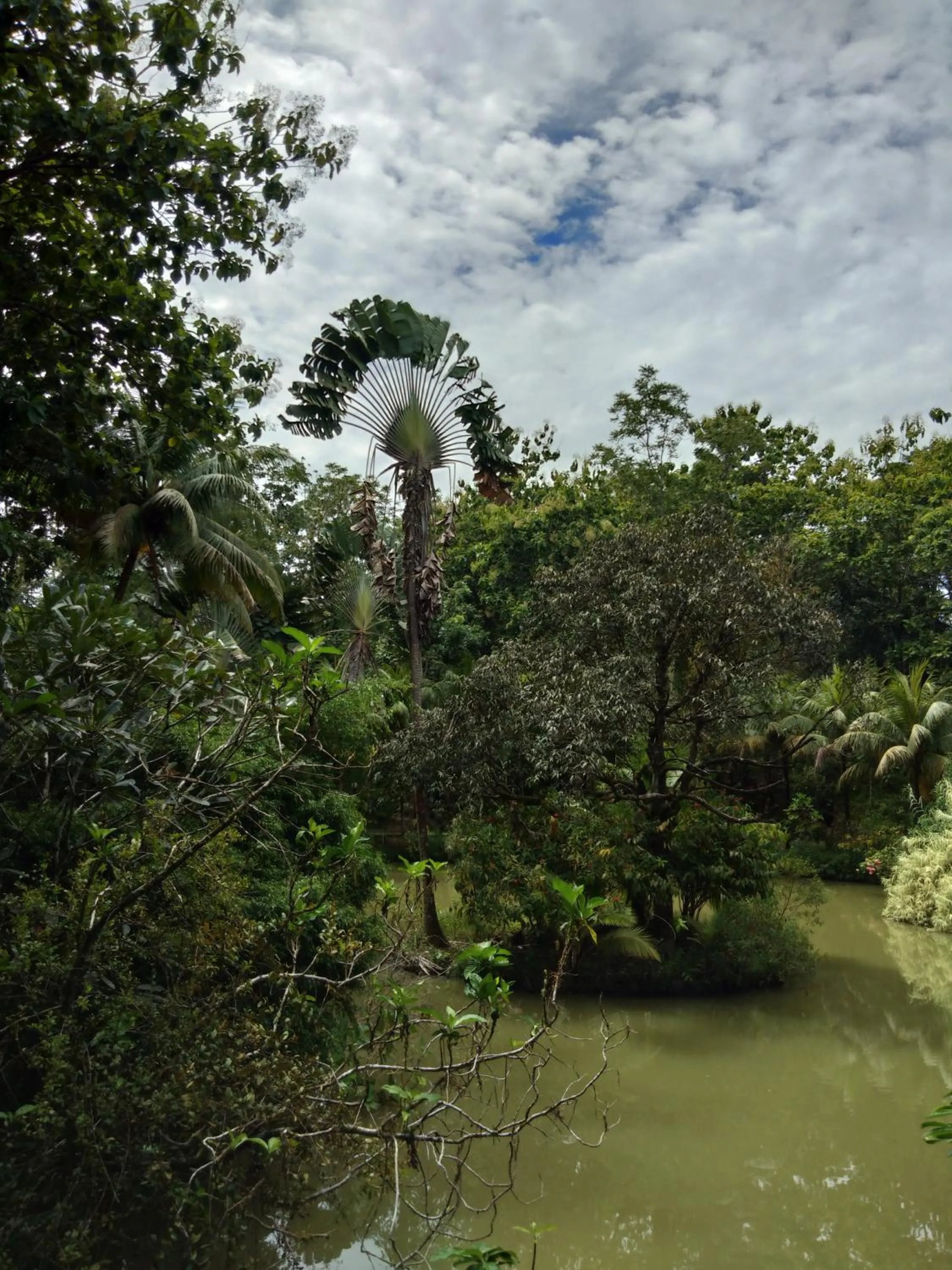 Sepilok Jungle Resort