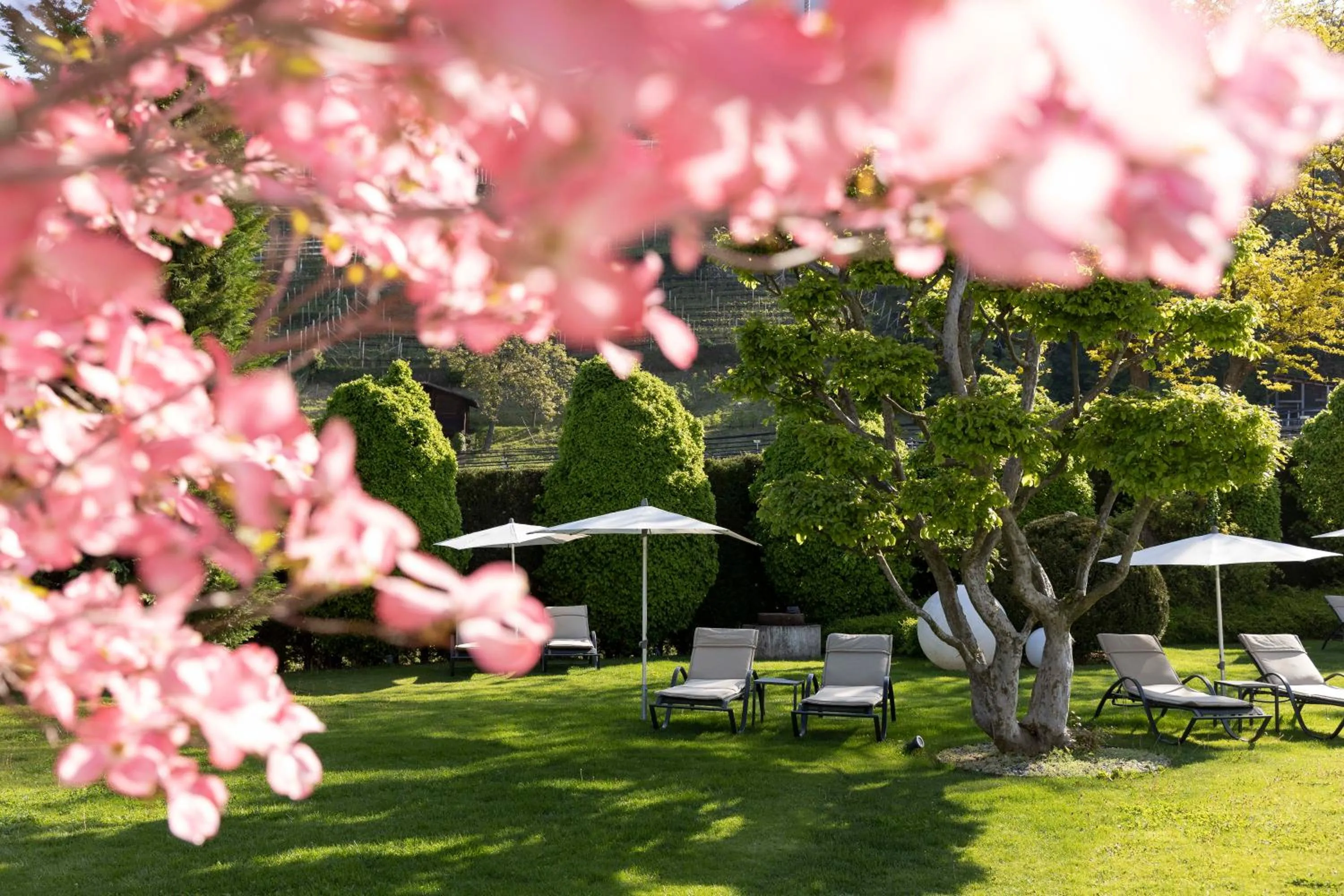 Swimming pool in Hotel Burggräflerhof