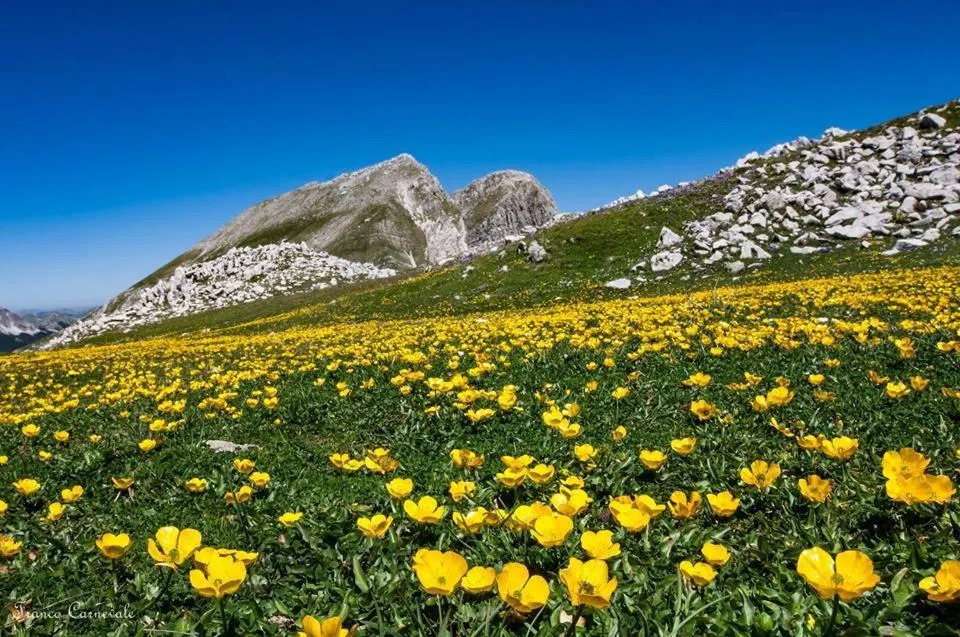 Hiking in B&B La Meta