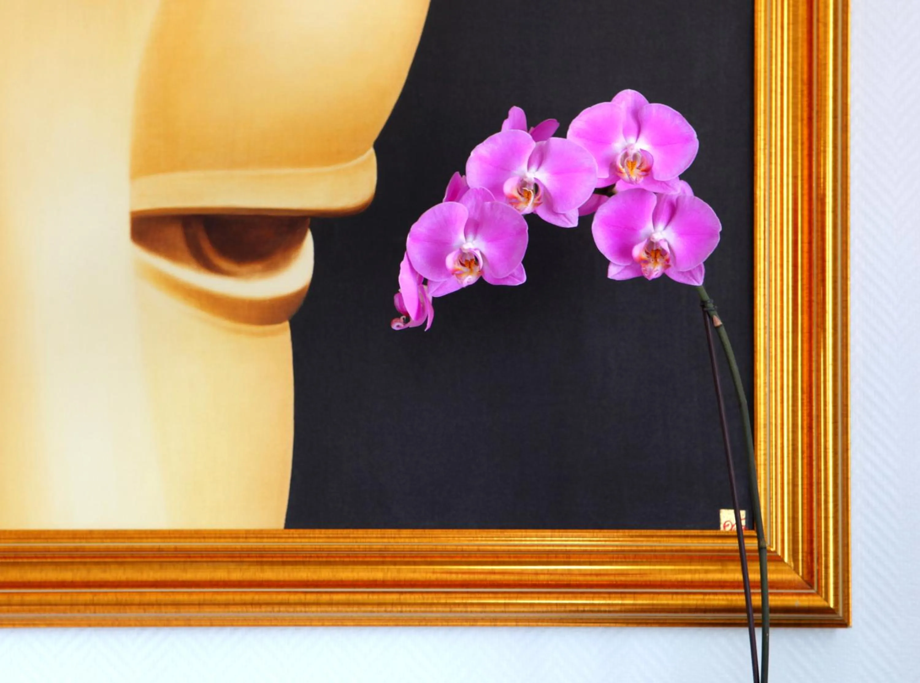 Decorative detail in Castel De Siam