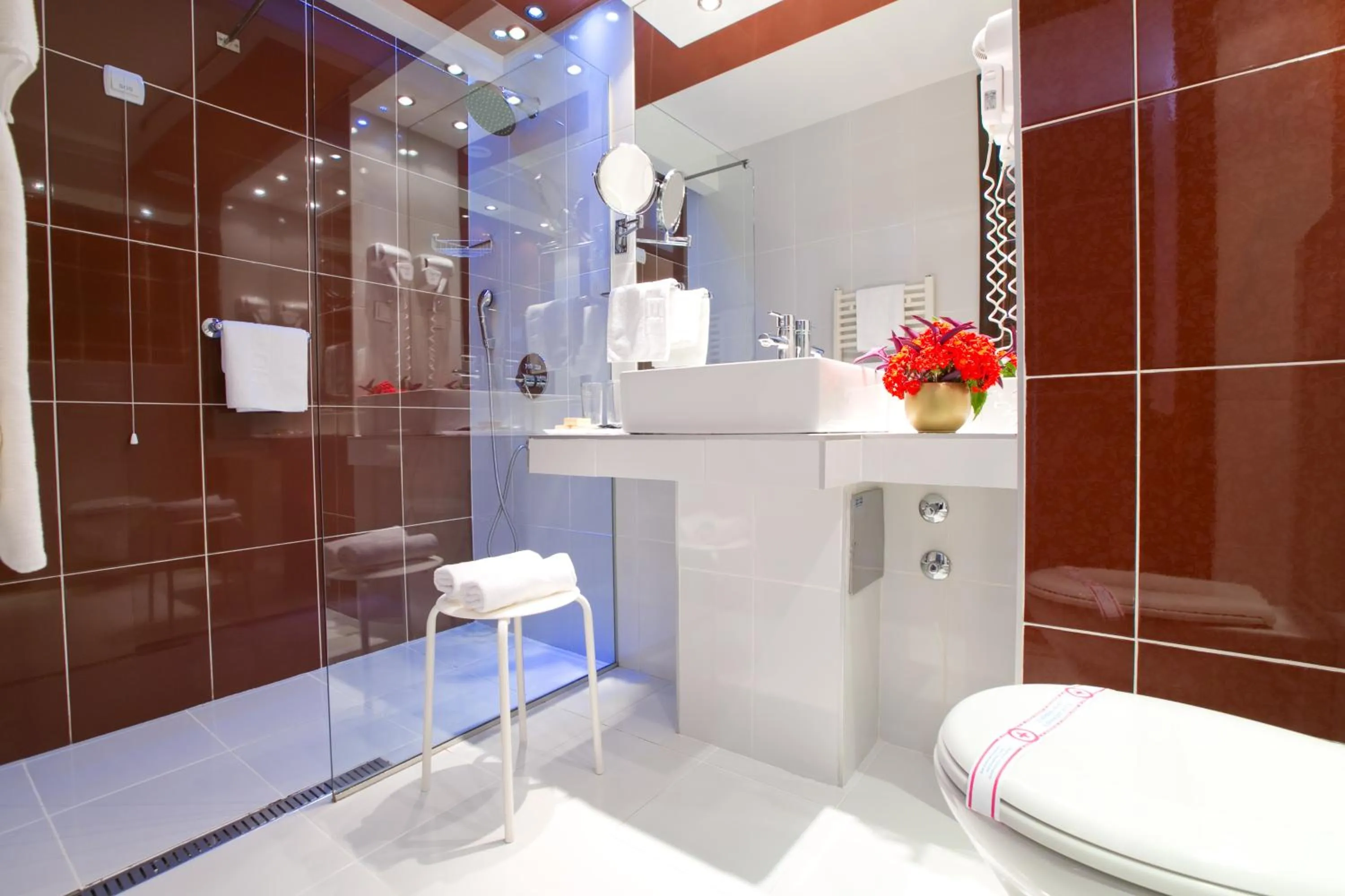 Shower in Hotel Palas