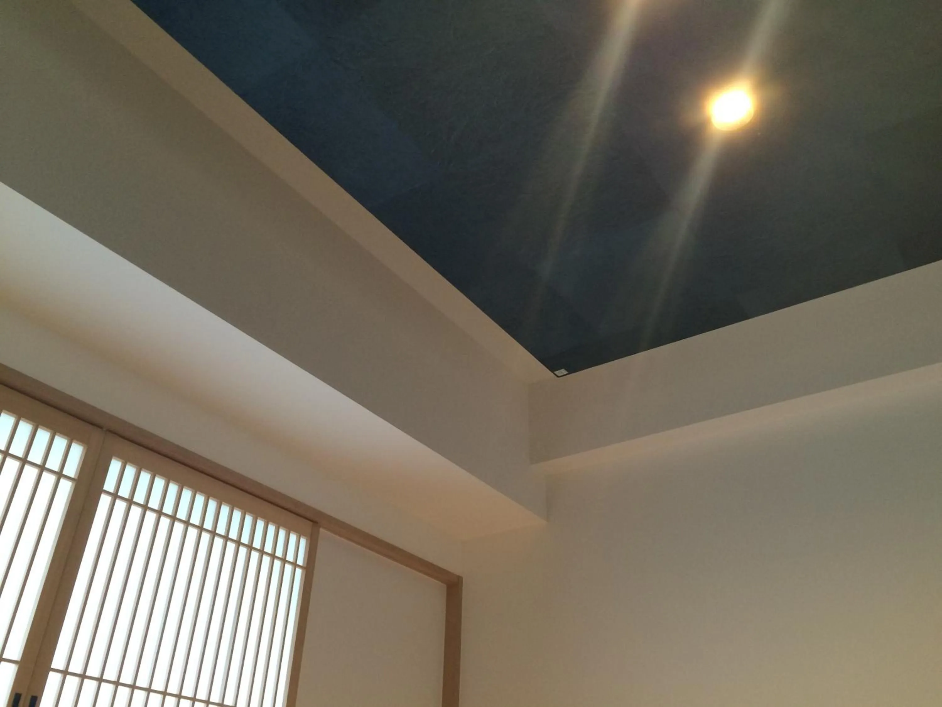 Other in Kyoto Travellers Inn